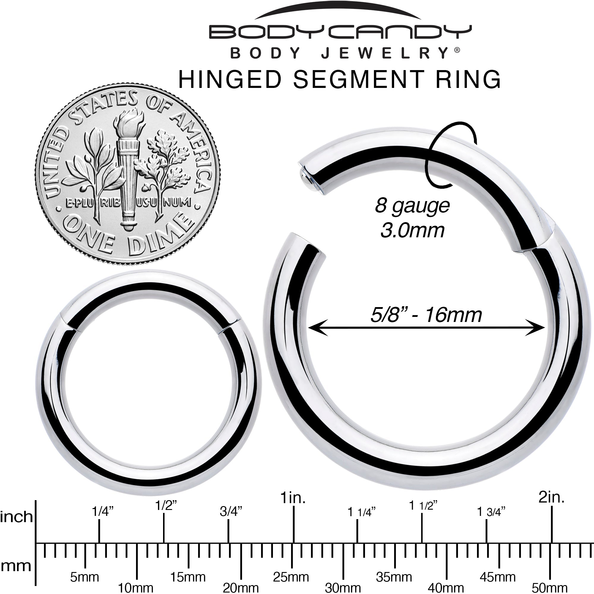 BodyCandy 8G 5/8 316L Surgical Steel Precision Hinged Segment Hoop — alternative angle