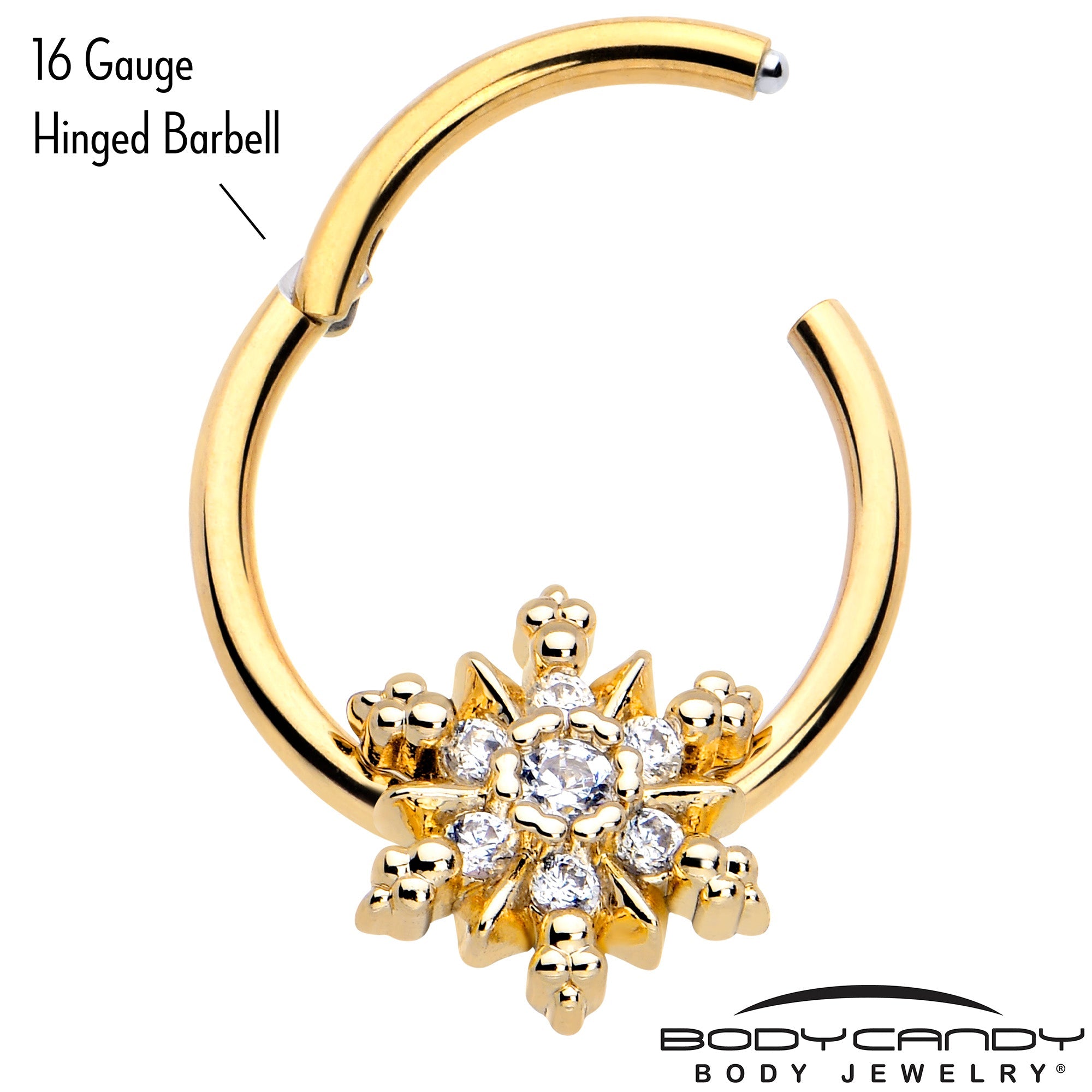 BodyCandy 16G 3/8 Clear CZ Gem Gold Tone Glam Snowflake Hinged Segment Ring — lifestyle context