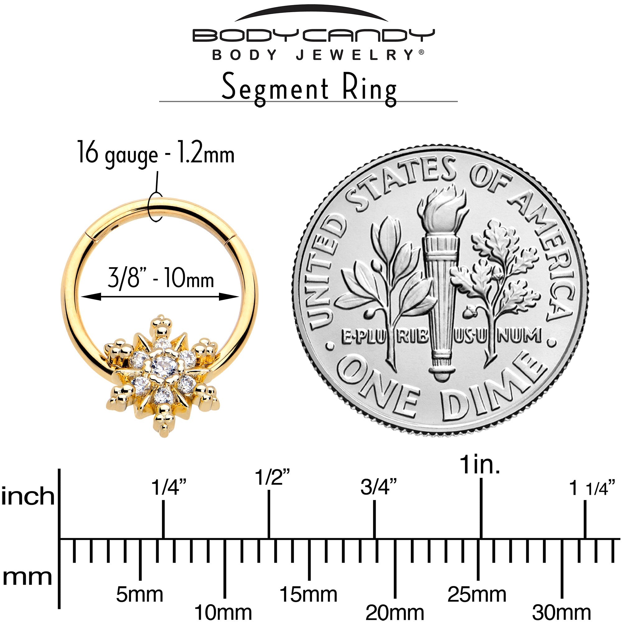 BodyCandy 16G 3/8 Clear CZ Gem Gold Tone Glam Snowflake Hinged Segment Ring — side view