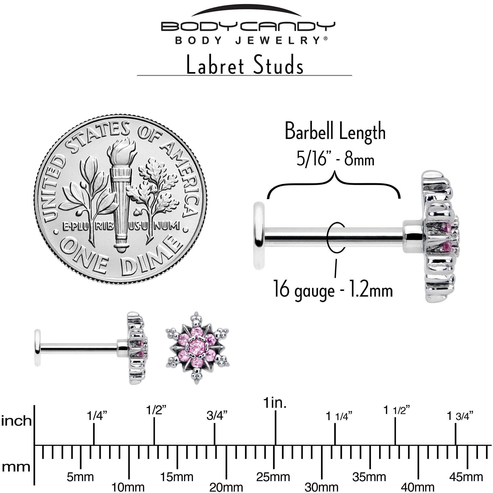 BodyCandy 16G 5/16 Pink CZ Gem Glam Snowflake Labret Monroe Tragus — back view
