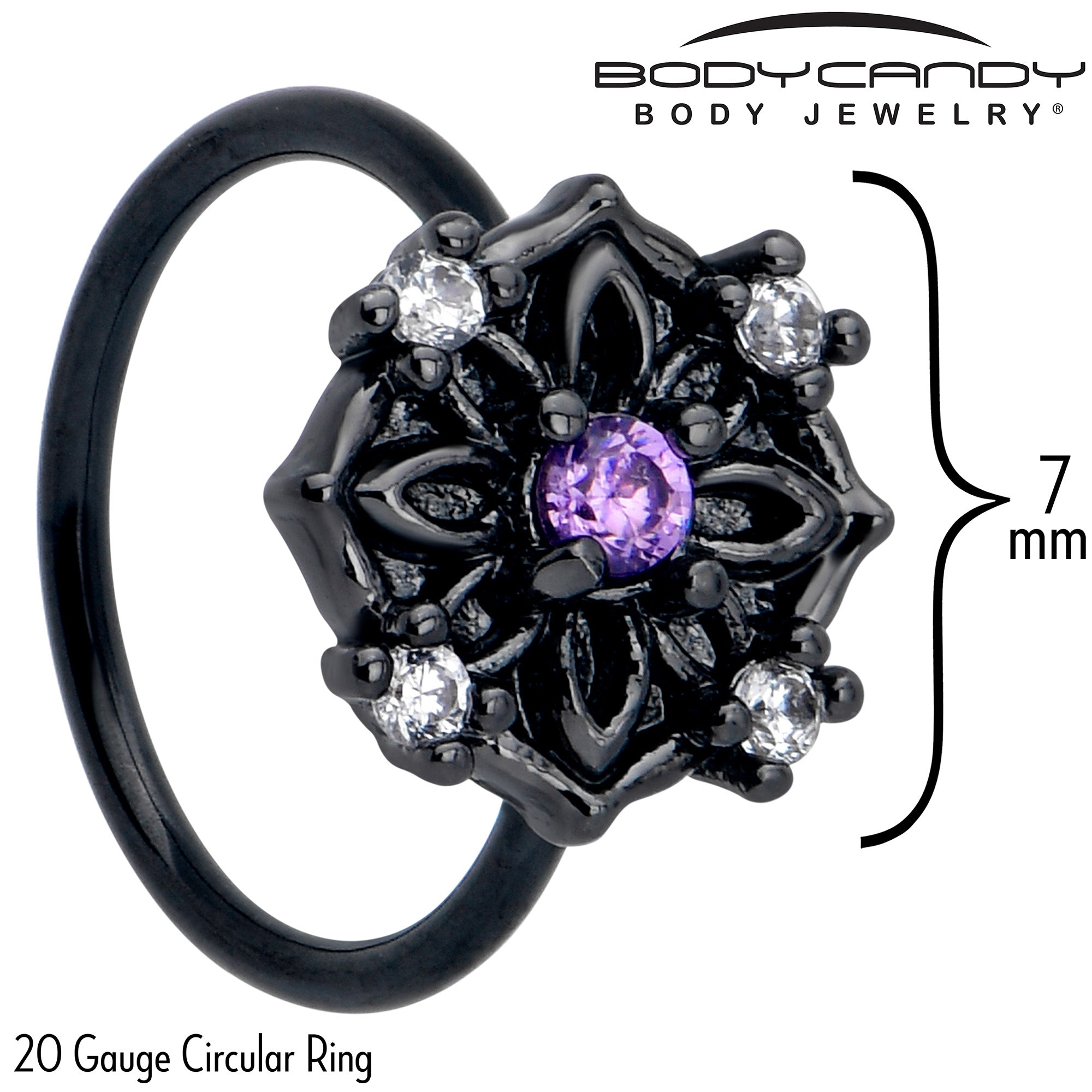 BodyCandy 20G 5/16 Purple CZ Gem Black Flower Ring Nose Hoop — detail close-up