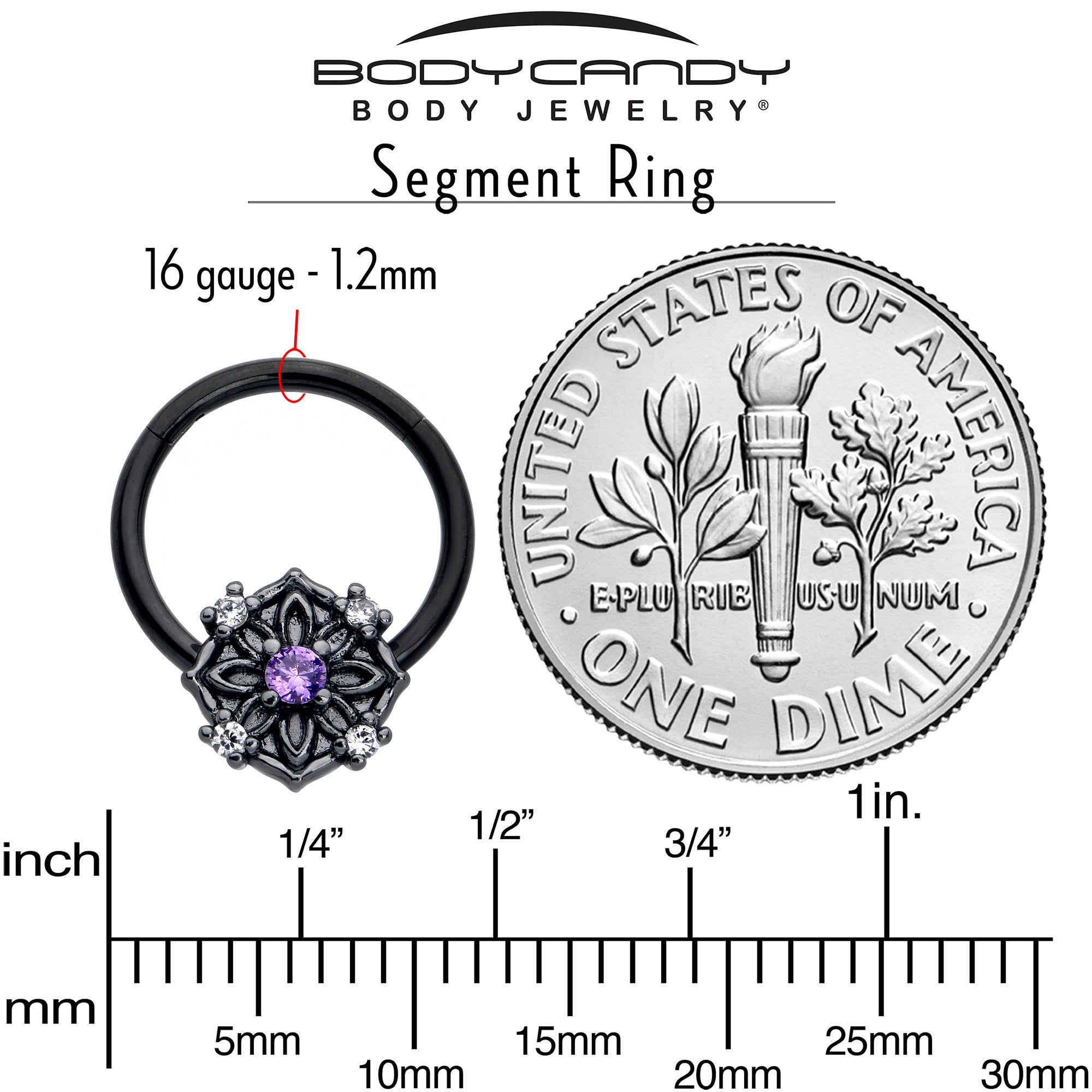 BodyCandy 16G 3/8 Purple CZ Gem Black Flower Ring Hinged Segment Ring — side view