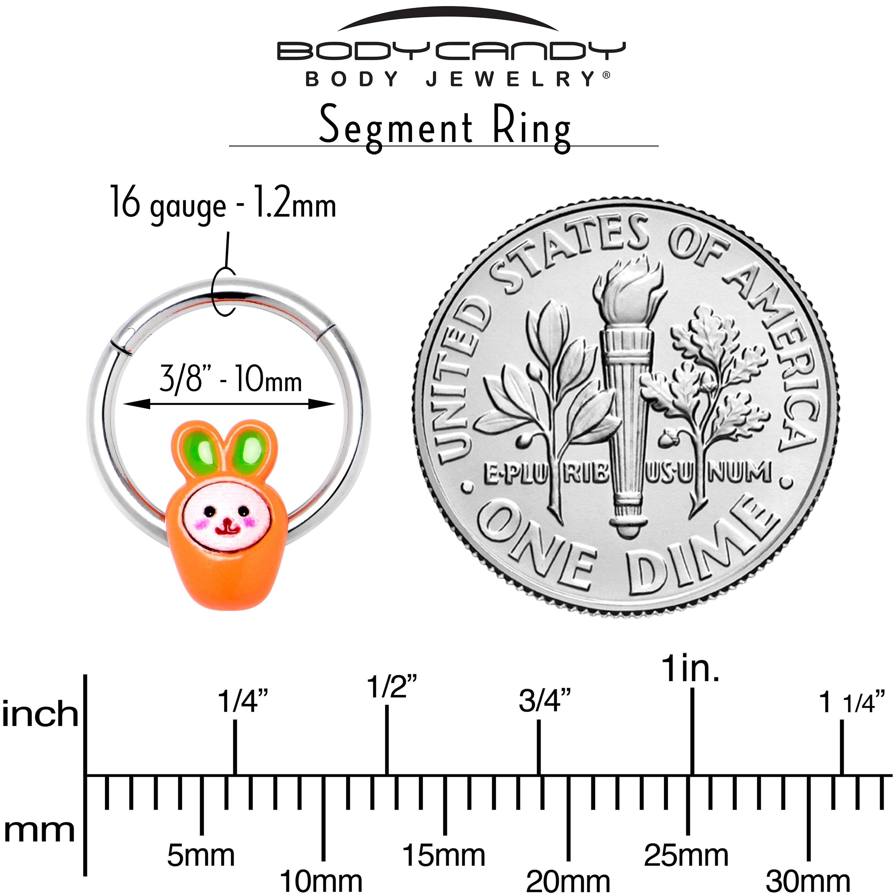 BodyCandy 16G 3/8 Surprise Carrot Easter Bunny Hinged Segment Ring — alternative angle