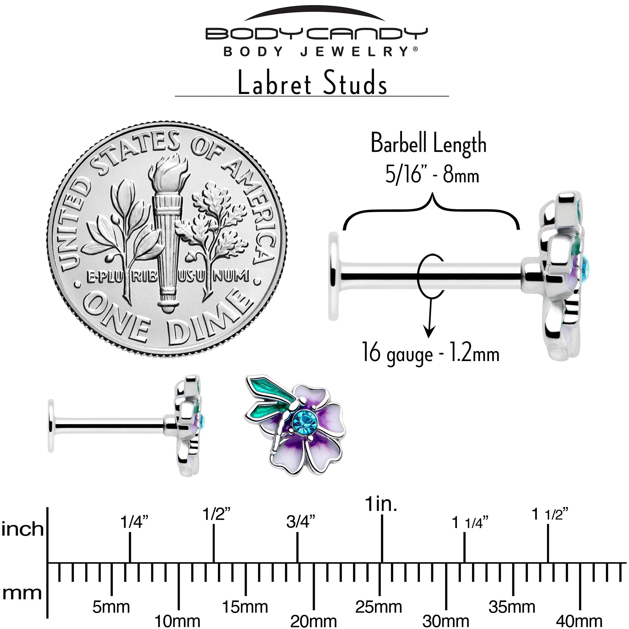 BodyCandy 16G 5/16 Blue Gem Faerie Flower Purple Labret Monroe Tragus — back view