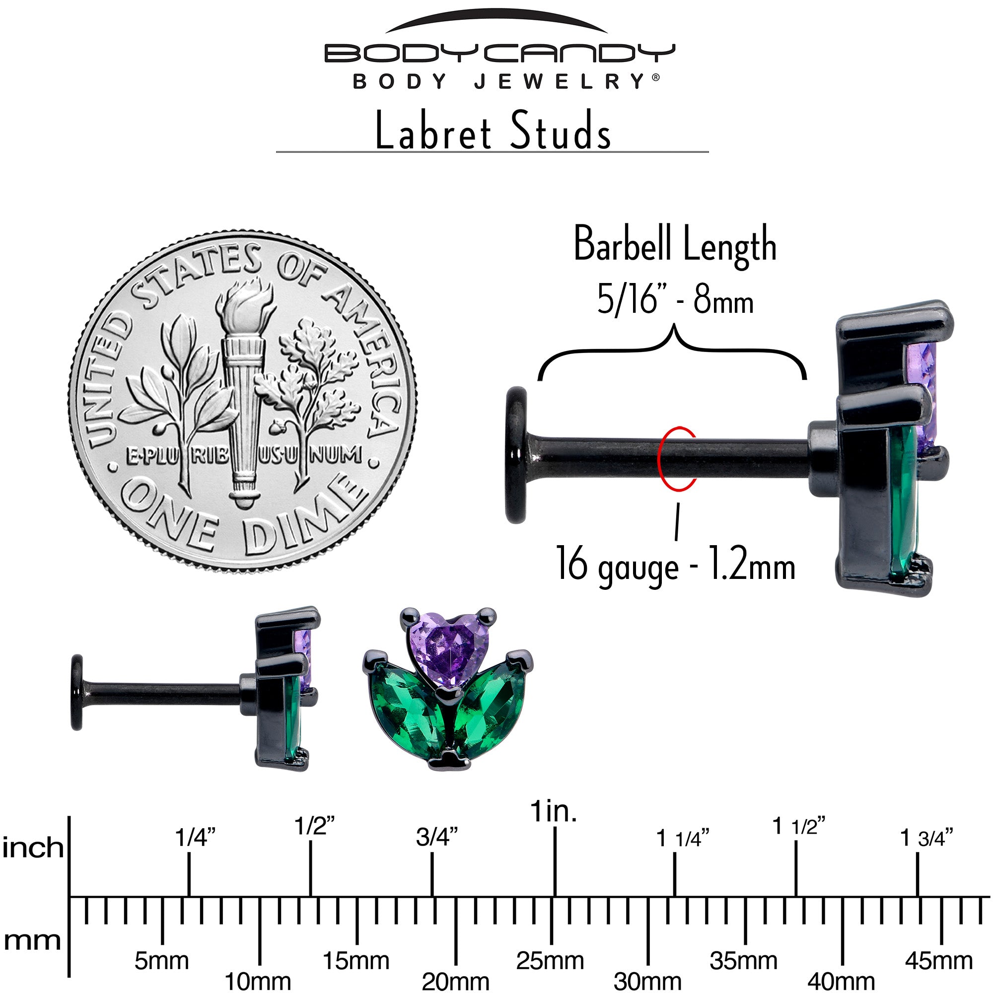 BodyCandy 16G 5/16 Purple Green CZ Gem Black Love Flower Labret Monroe Tragus — back view