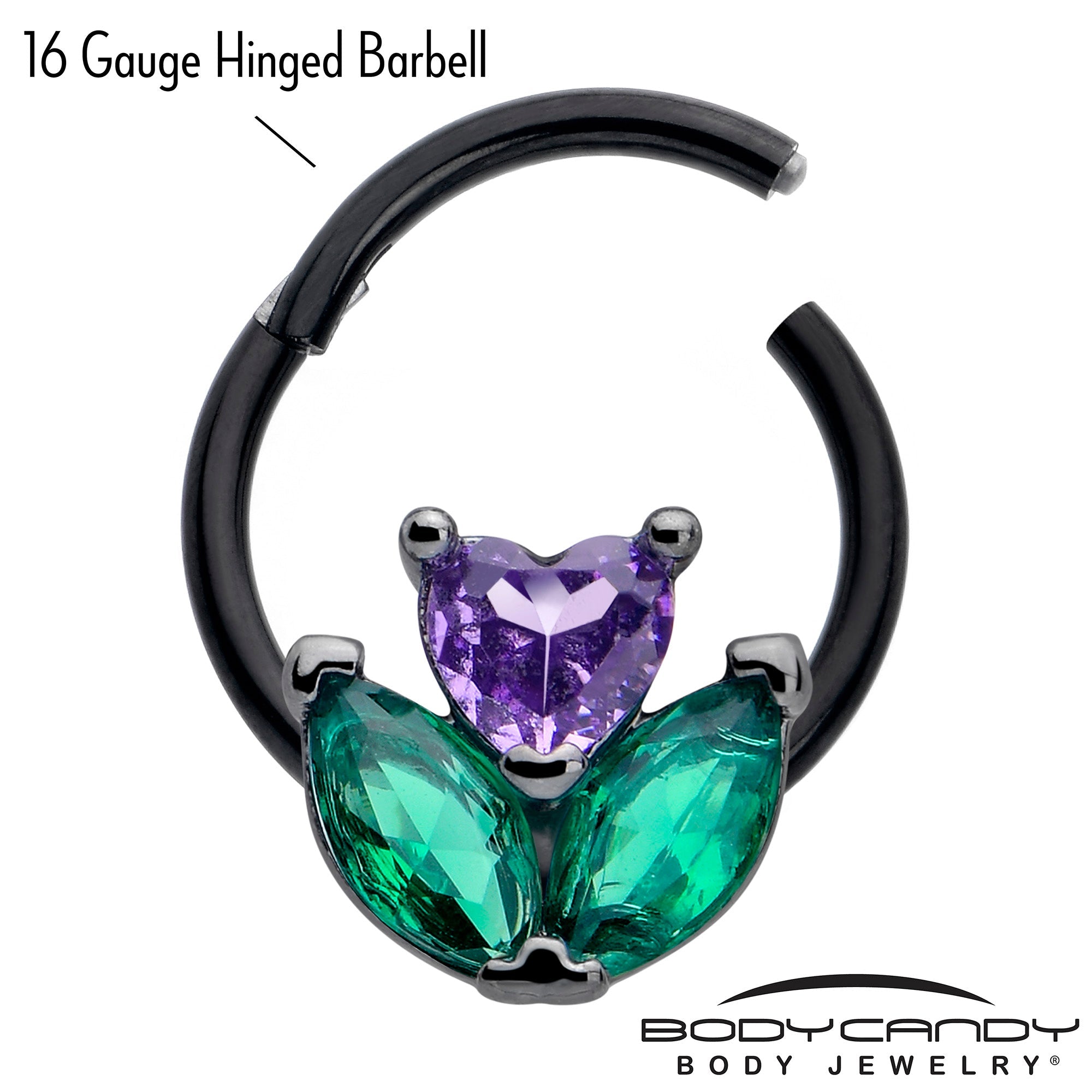BodyCandy 16G 3/8 Purple Green CZ Gem Black Love Flower Hinged Segment Ring — lifestyle context