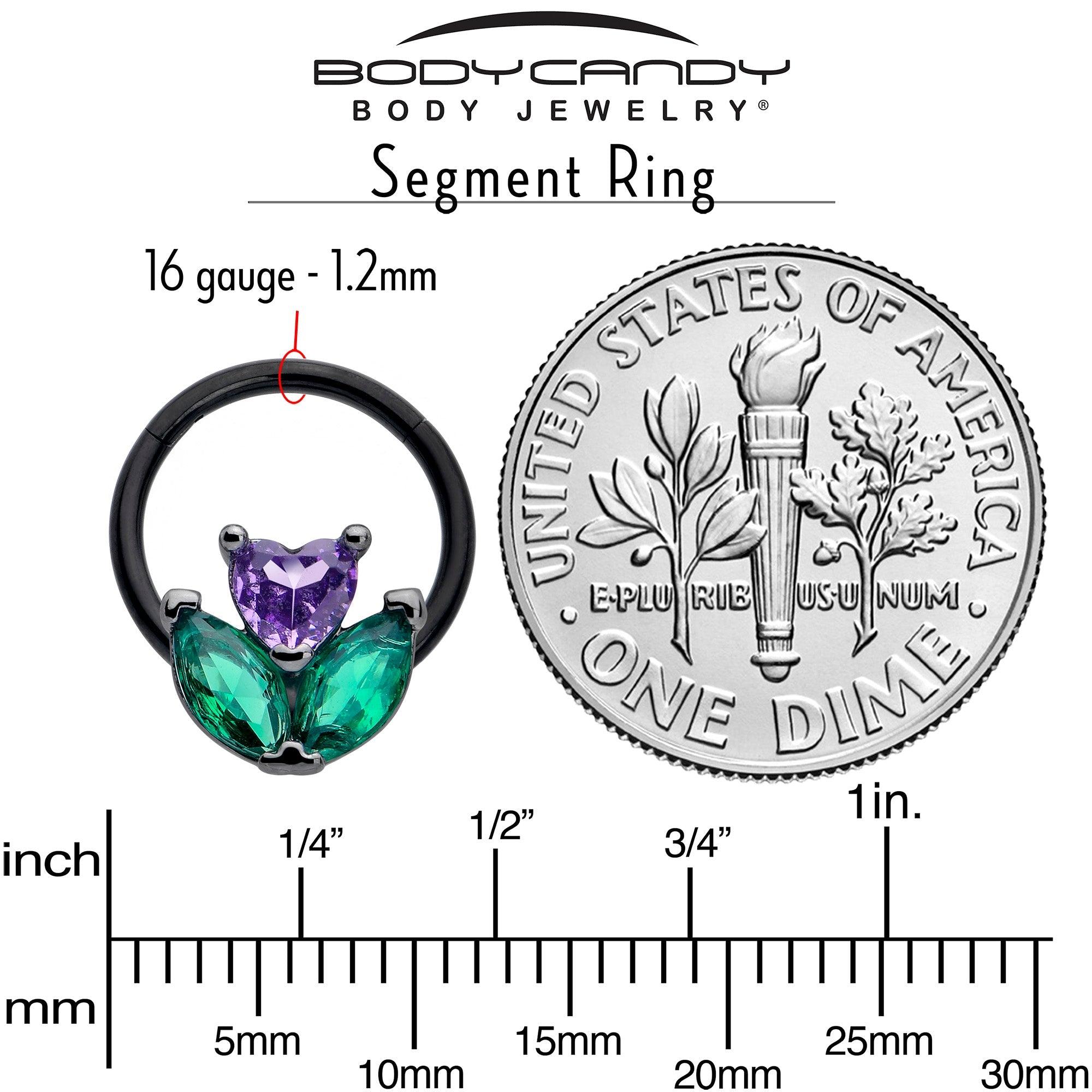 BodyCandy 16G 3/8 Purple Green CZ Gem Black Love Flower Hinged Segment Ring — side view