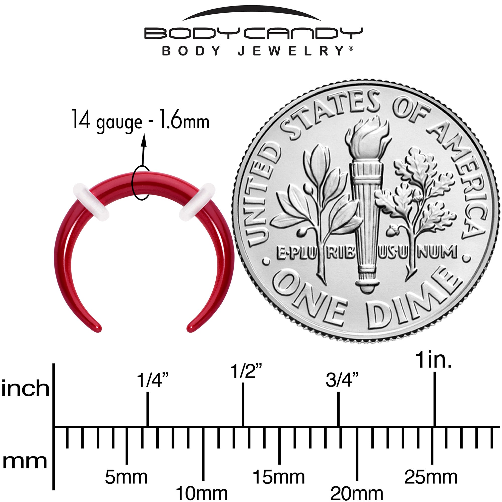 BodyCandy Stainless Steel Crescent Pincher Septum Ring - 14G and 16G — in-use photo