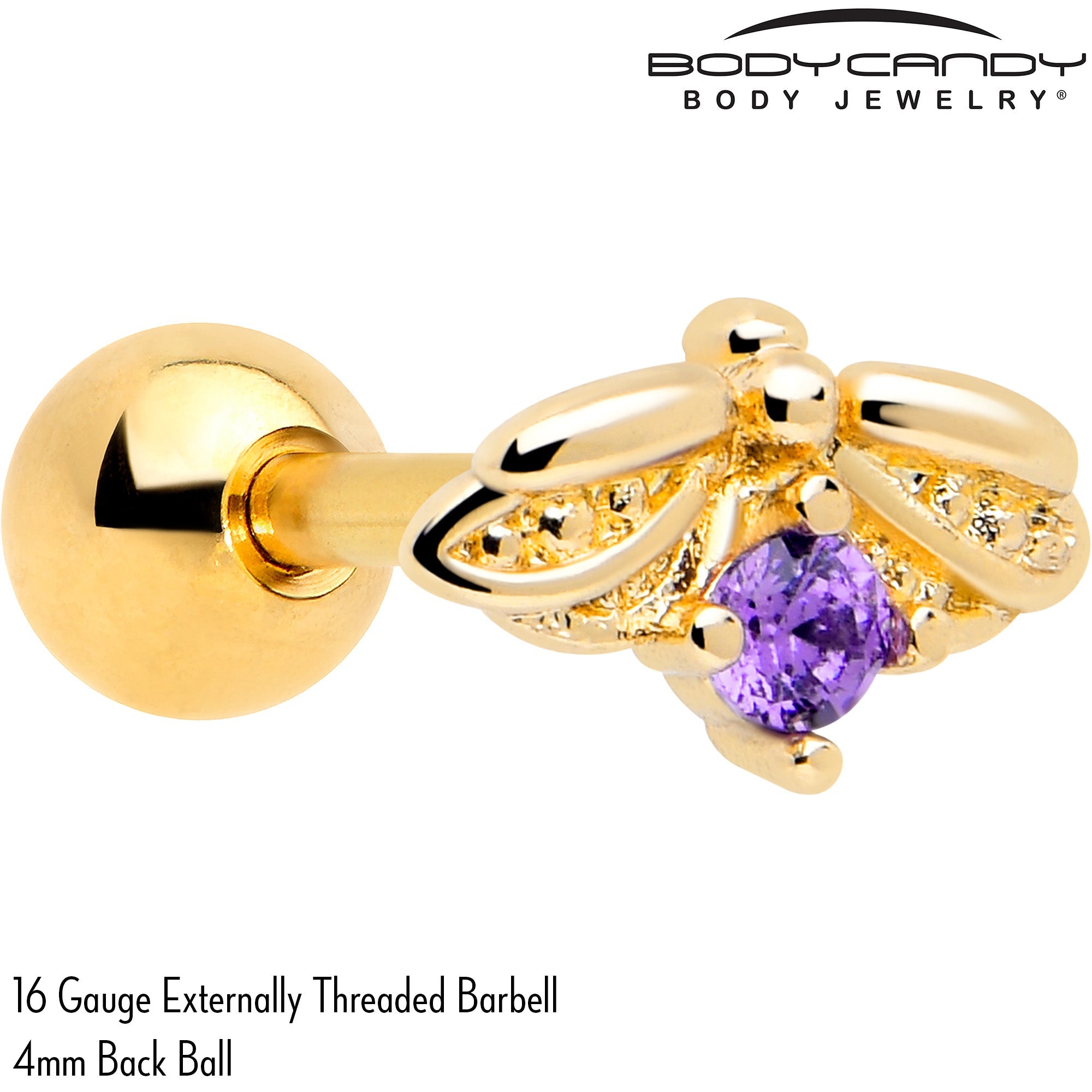 BodyCandy 16G 1/4 Purple Gem Gold Tone Beauty Bug Cartilage Tragus Earring — detail close-up