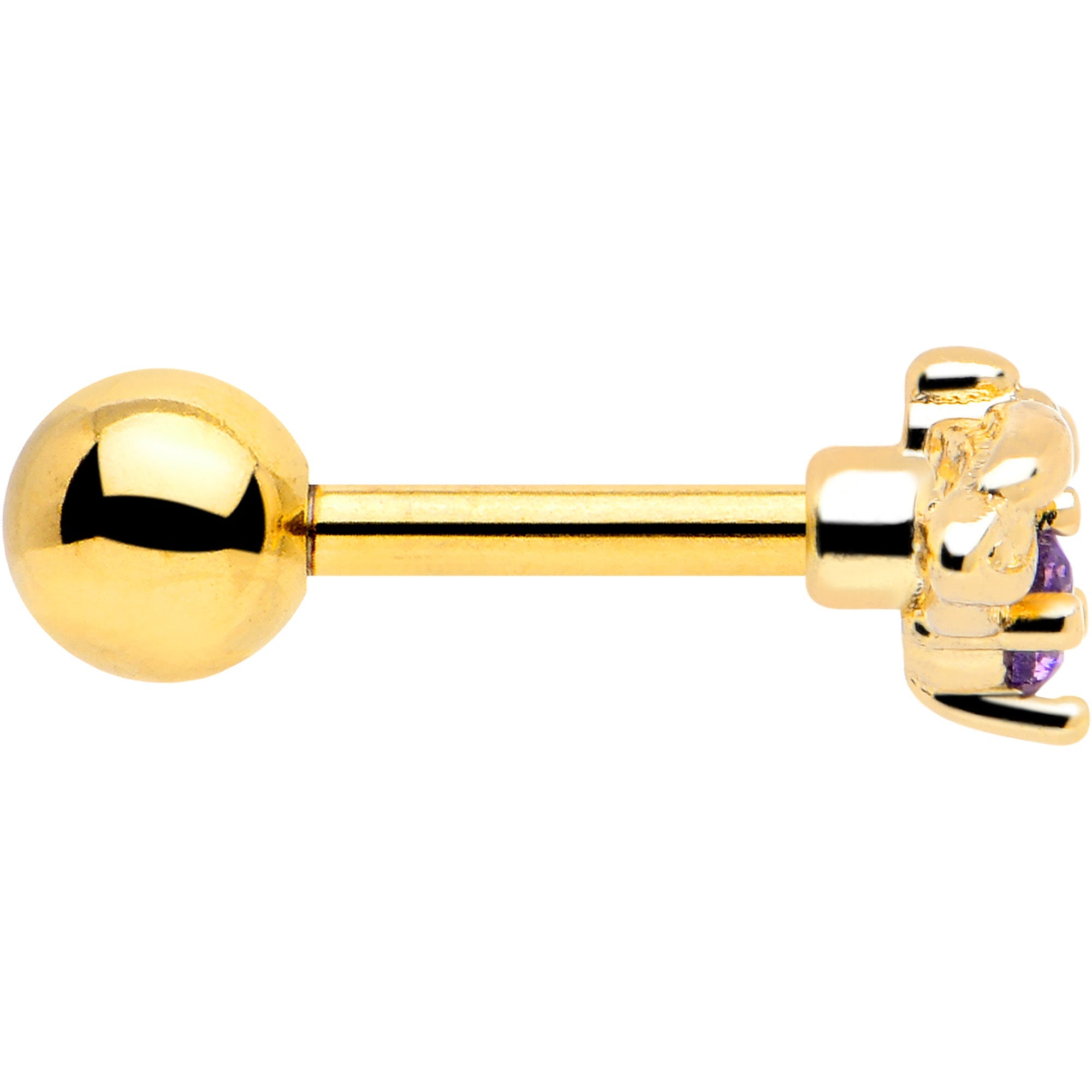 BodyCandy 16G 1/4 Purple Gem Gold Tone Beauty Bug Cartilage Tragus Earring — side view