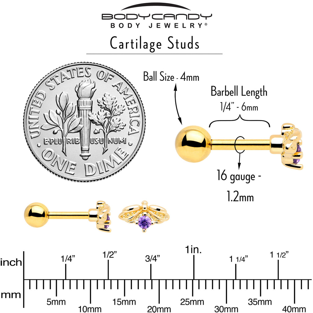 BodyCandy 16G 1/4 Purple Gem Gold Tone Beauty Bug Cartilage Tragus Earring — alternative angle