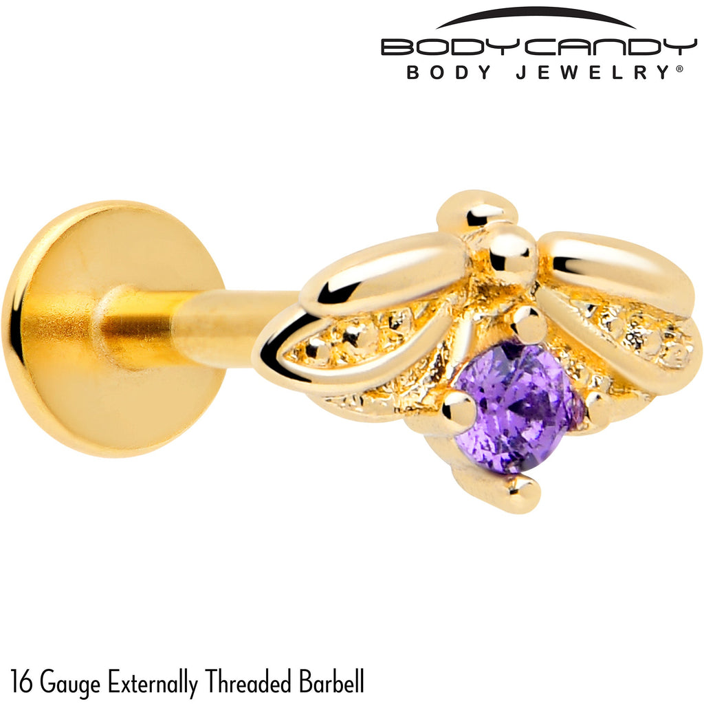 BodyCandy 16G 5/16 Purple Gem Gold Tone Beauty Bug Labret Monroe Tragus — detail close-up