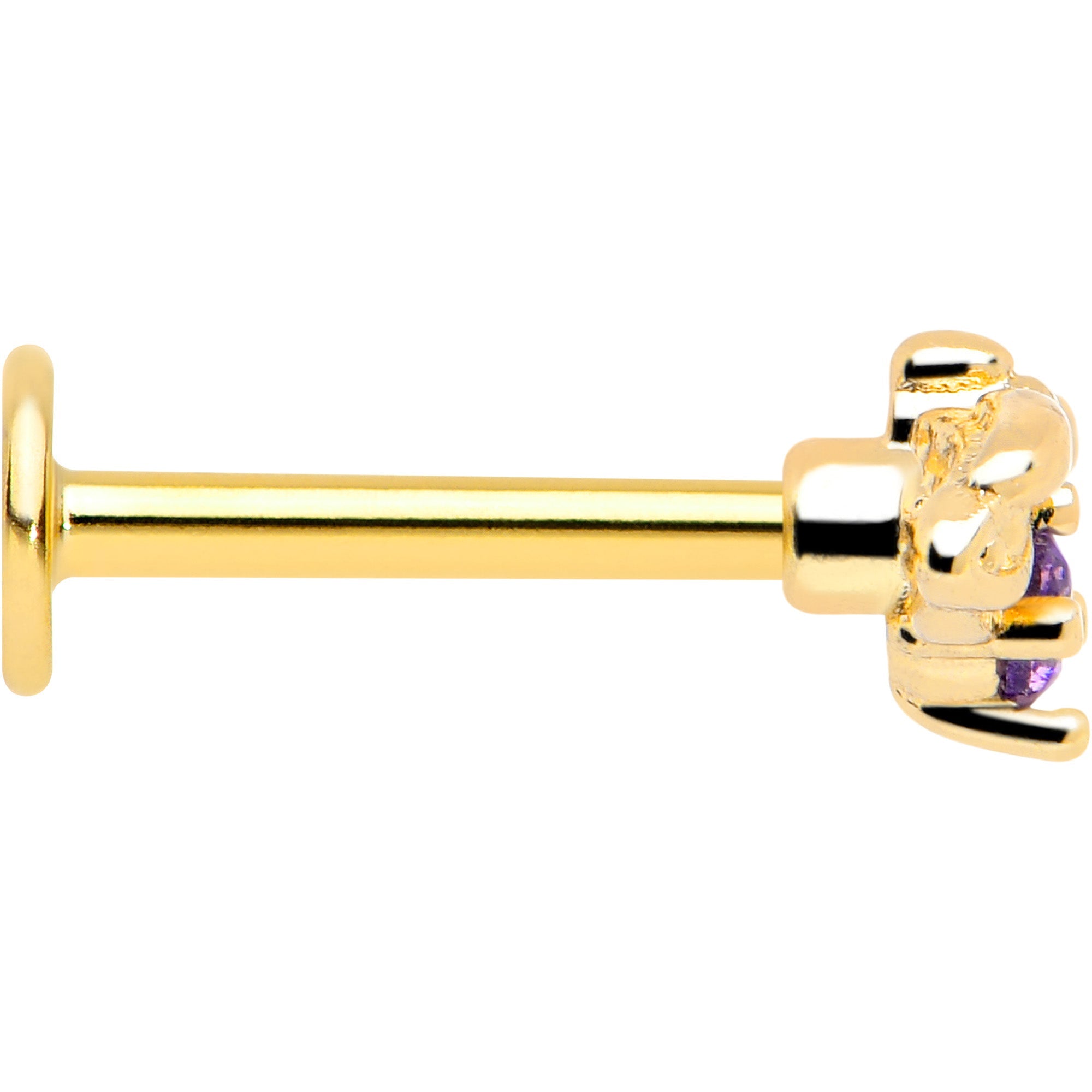 BodyCandy 16G 5/16 Purple Gem Gold Tone Beauty Bug Labret Monroe Tragus — side view