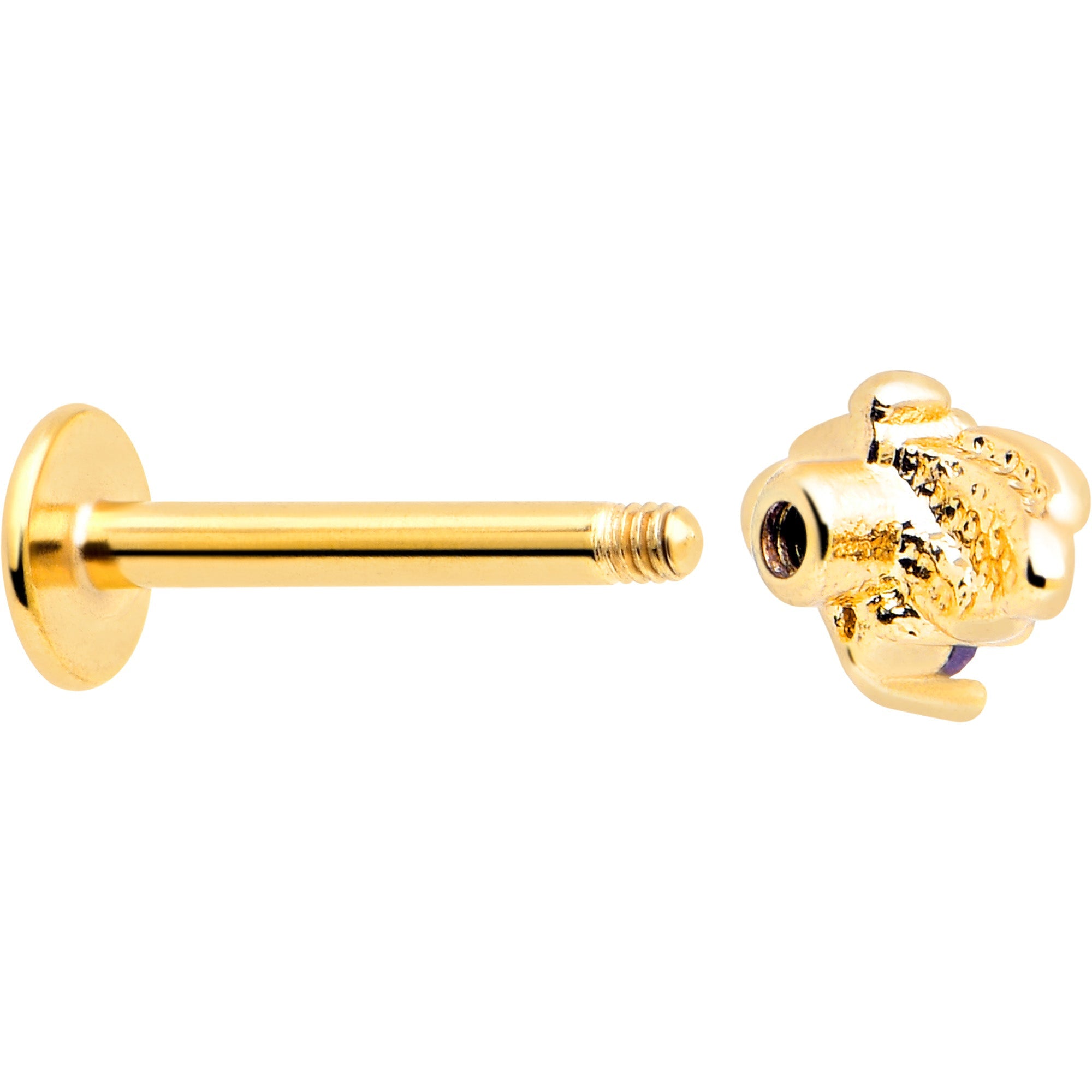 BodyCandy 16G 5/16 Purple Gem Gold Tone Beauty Bug Labret Monroe Tragus — back view