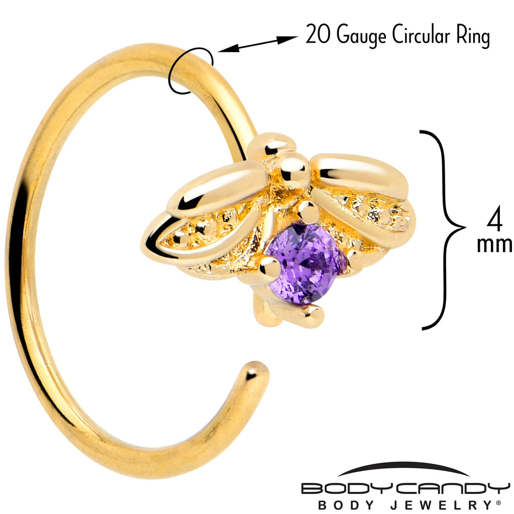 BodyCandy 20G 5/16 Purple Gem Gold Tone Beauty Bug Nose Hoop — detail close-up