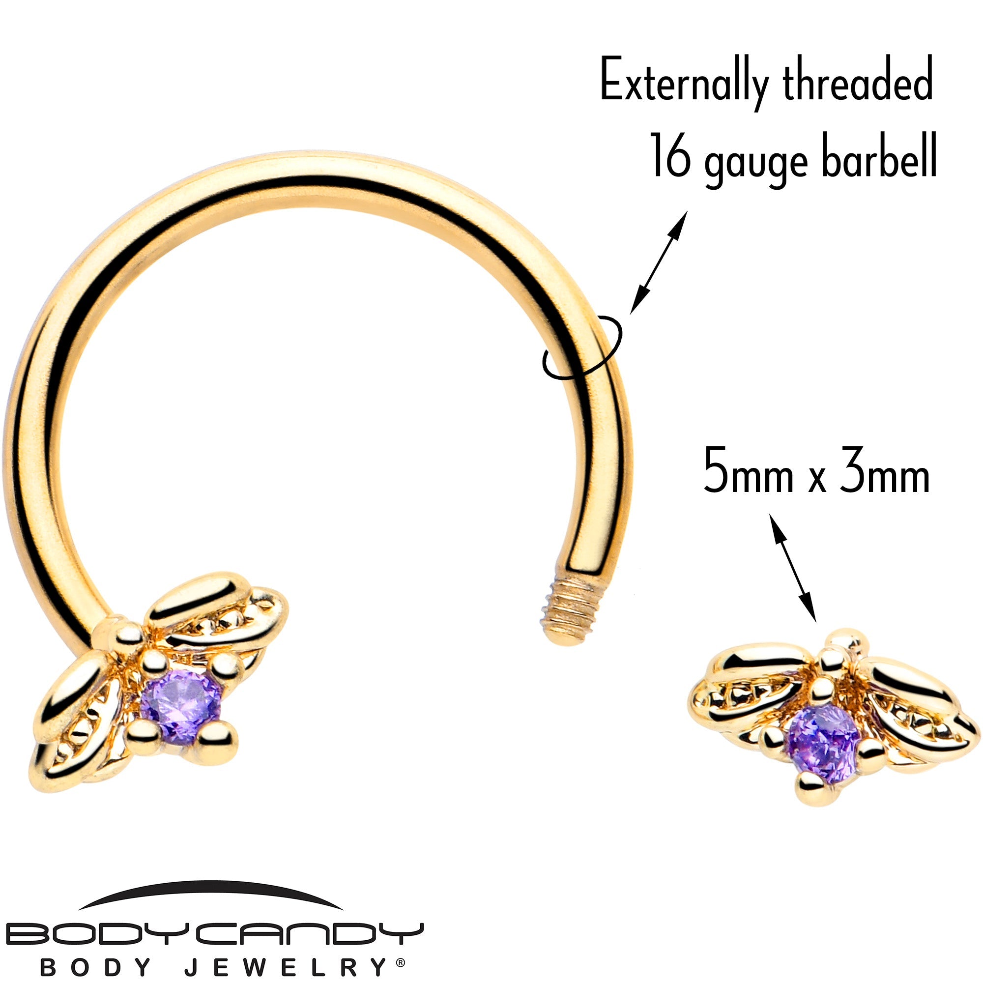BodyCandy 16G 3/8 Purple Gem Gold Tone Beauty Bug Horseshoe Circular Barbell — lifestyle context