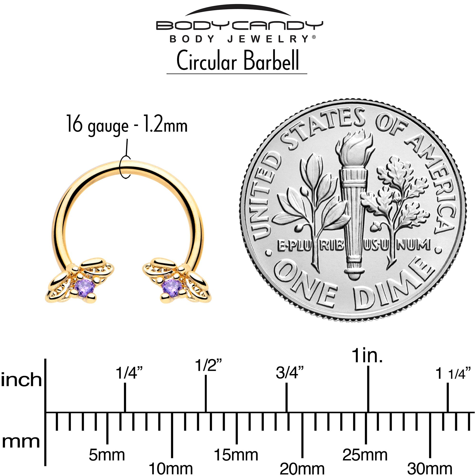 BodyCandy 16G 3/8 Purple Gem Gold Tone Beauty Bug Horseshoe Circular Barbell — side view
