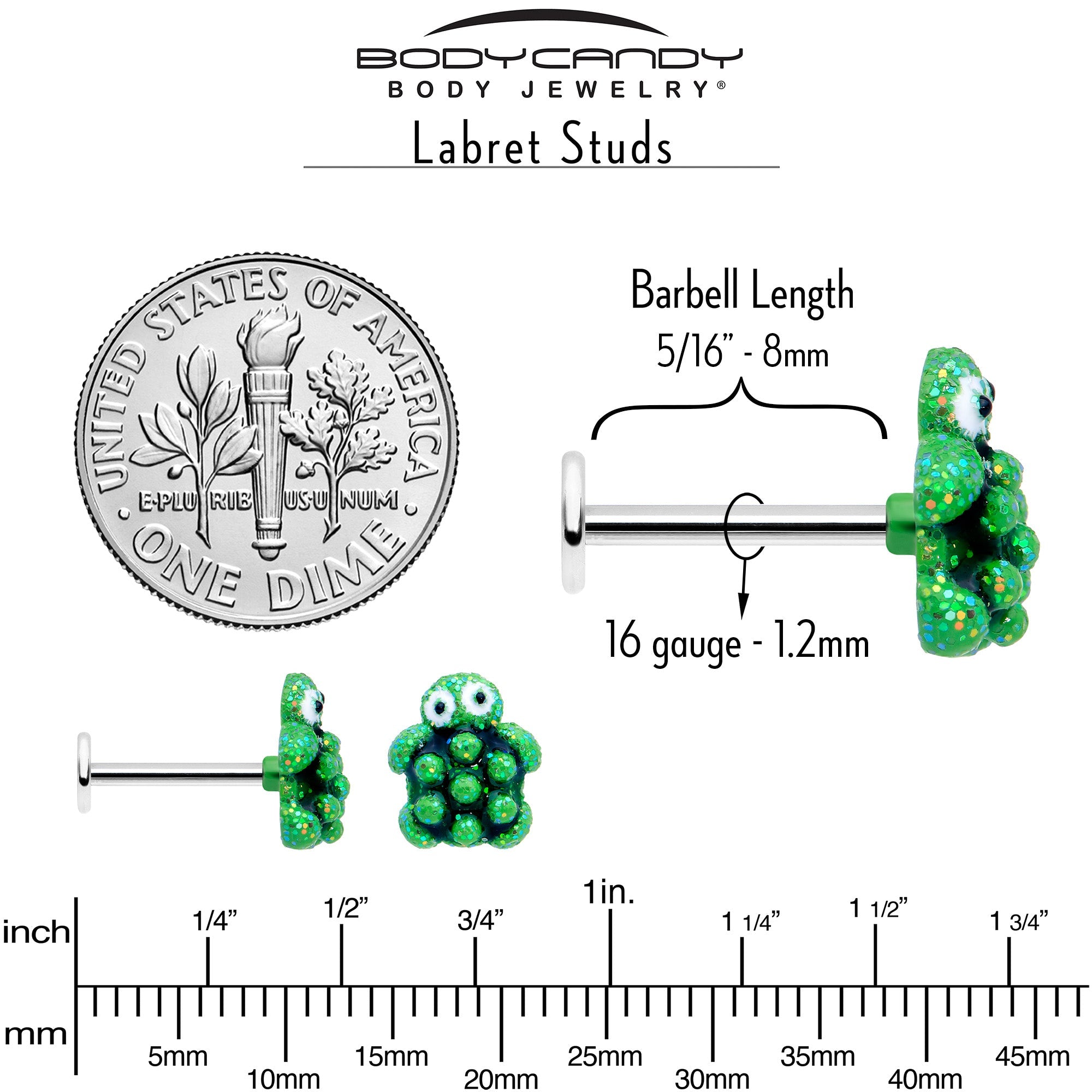 BodyCandy 16G 5/16 Texture Turtle Labret Monroe Tragus — back view