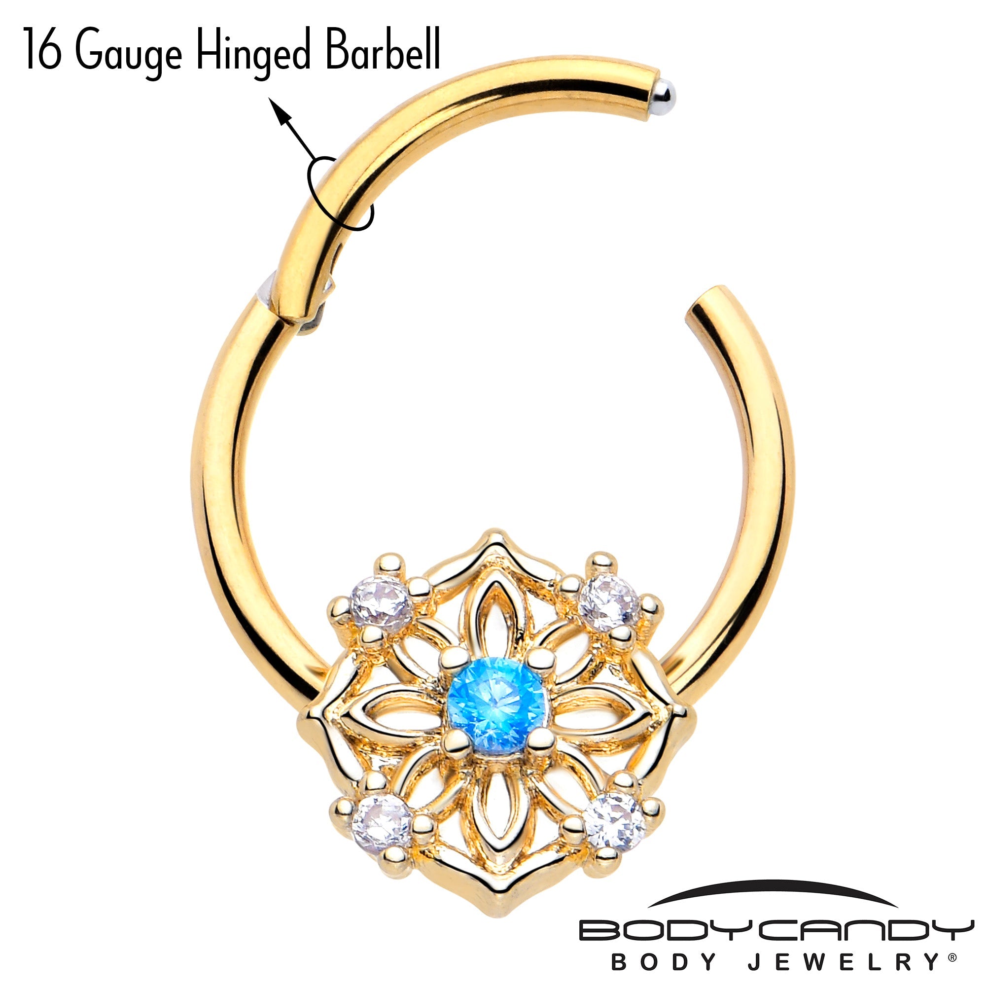 BodyCandy 16G 3/8 Blue CZ Gem Gold Tone Flower Ring Hinged Segment Ring — lifestyle context