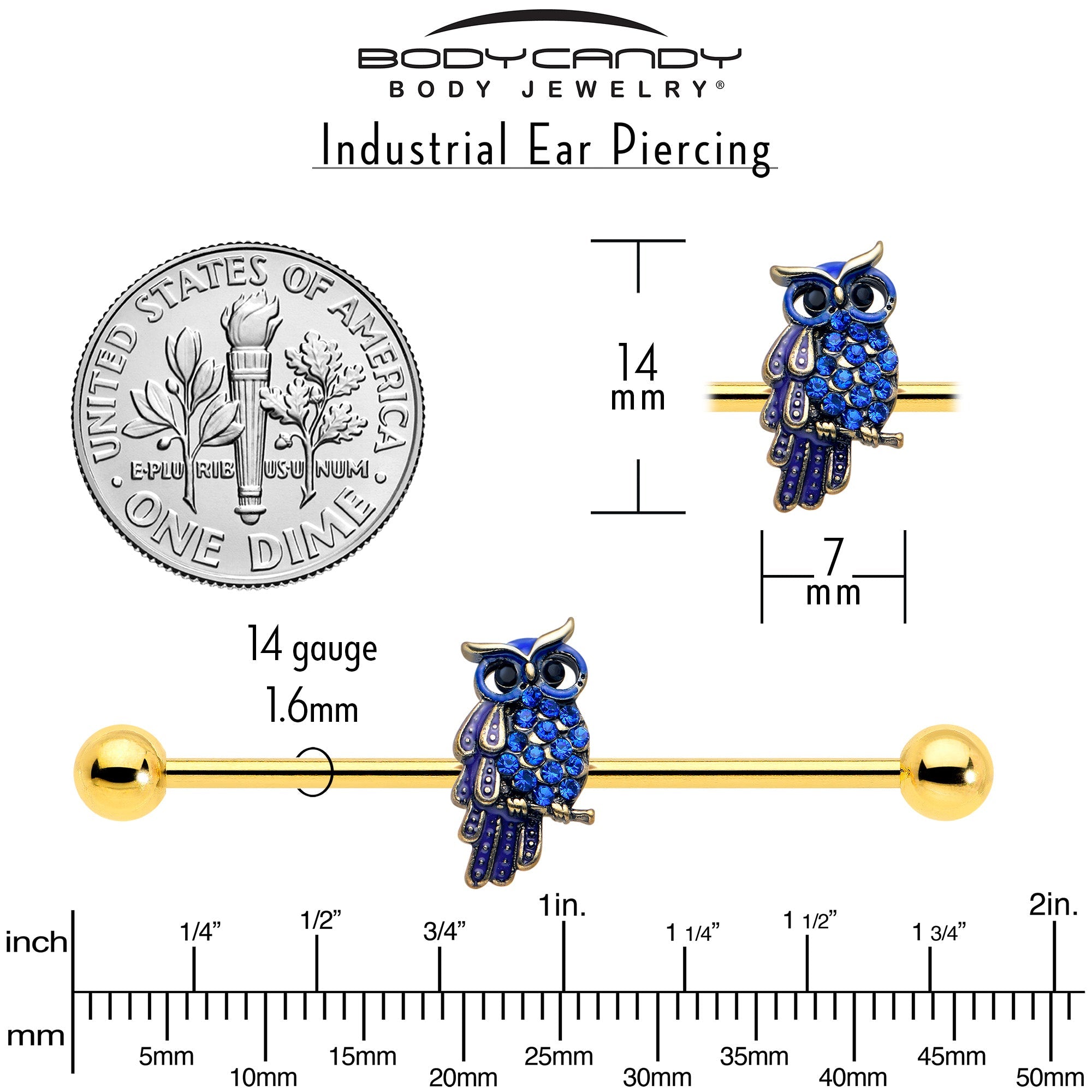 BodyCandy 14G Blue Gem Gold Tone Sky Owl Industrial Barbell 38mm — back view