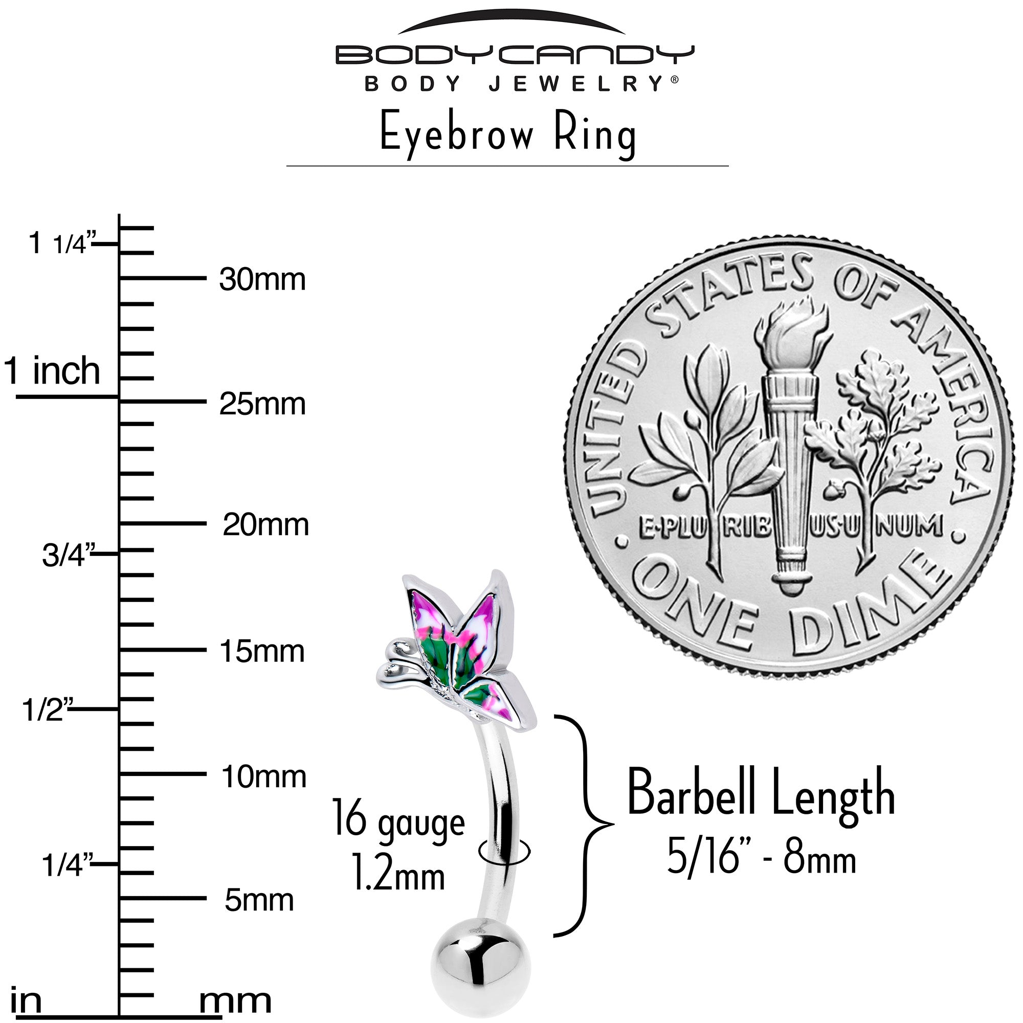 BodyCandy 16G 5/16 Profile Butterfly Curved Eyebrow Ring — side view
