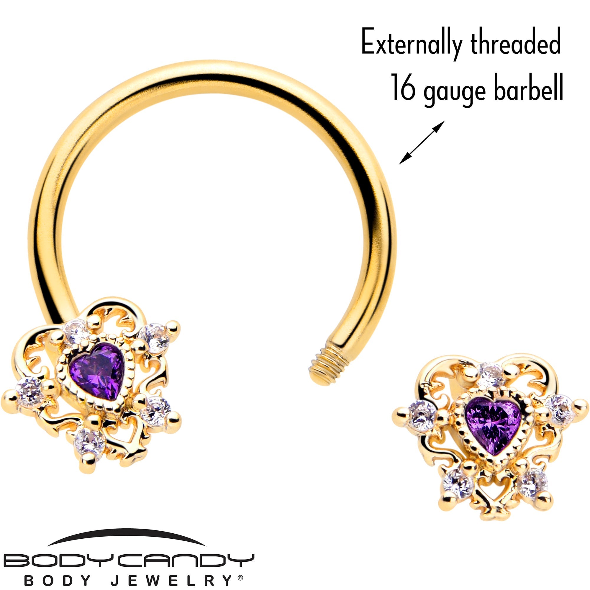 BodyCandy 16G 3/8 Purple CZ Gem Gold Tone Heart of Love Horseshoe — lifestyle context