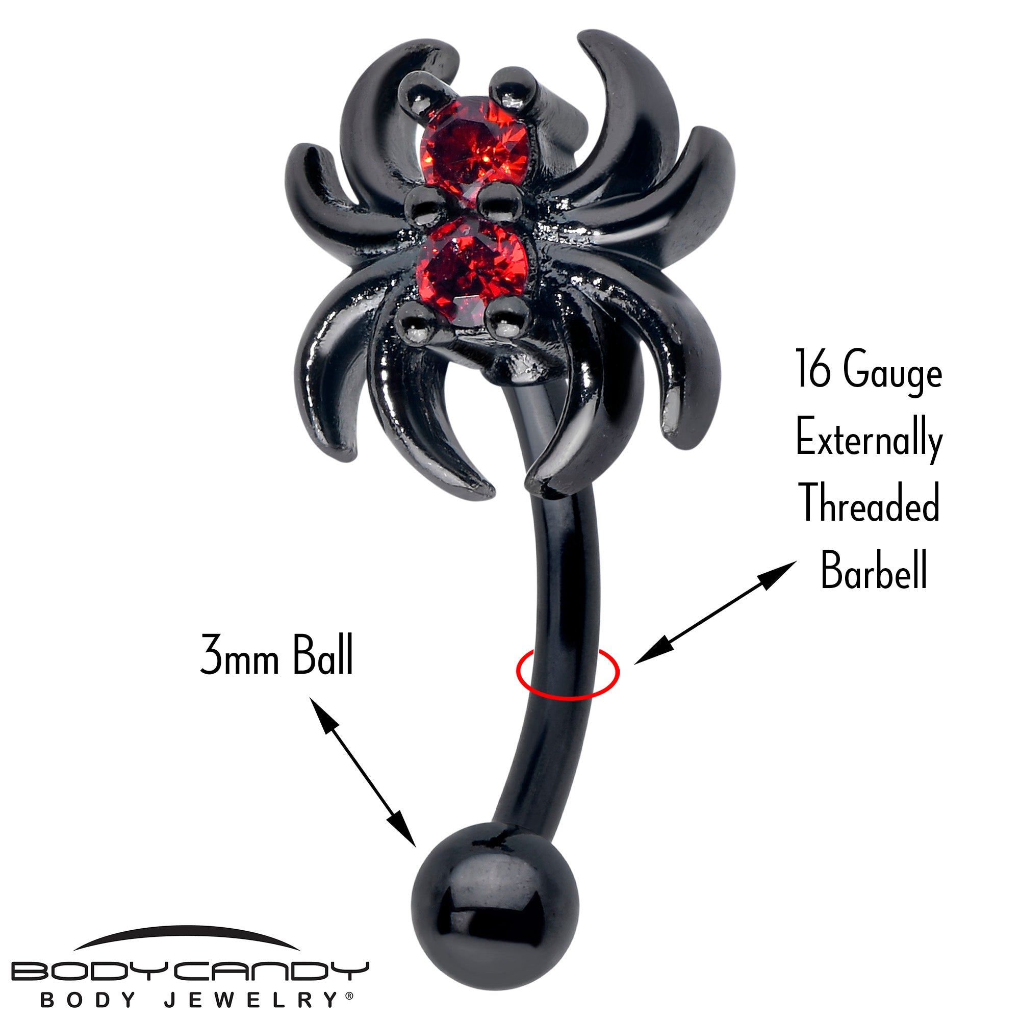 BodyCandy 16G 5/16 Red CZ Gem Black Sleek Spider Curved Eyebrow Ring — detail close-up