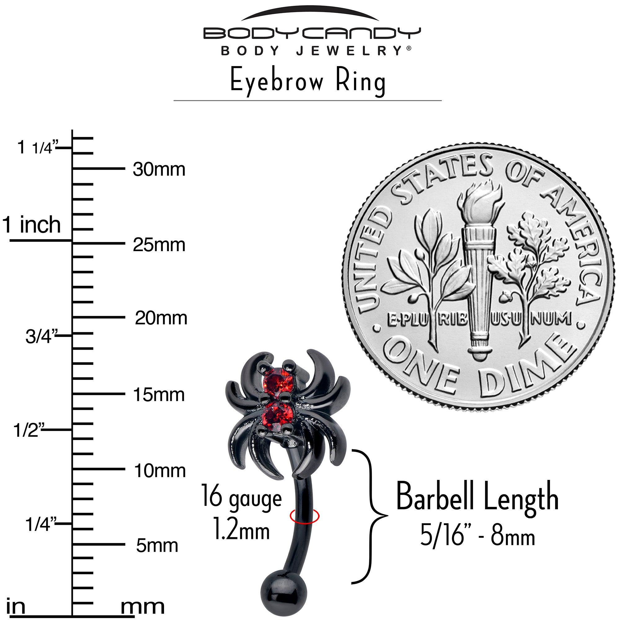 BodyCandy 16G 5/16 Red CZ Gem Black Sleek Spider Curved Eyebrow Ring — side view