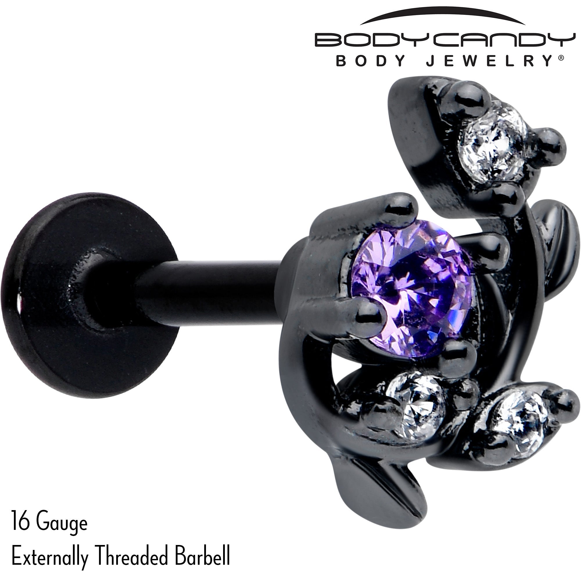 BodyCandy 16G 5/16 Purple Clear Gem Black Twining Vine Labret Monroe Tragus — detail close-up