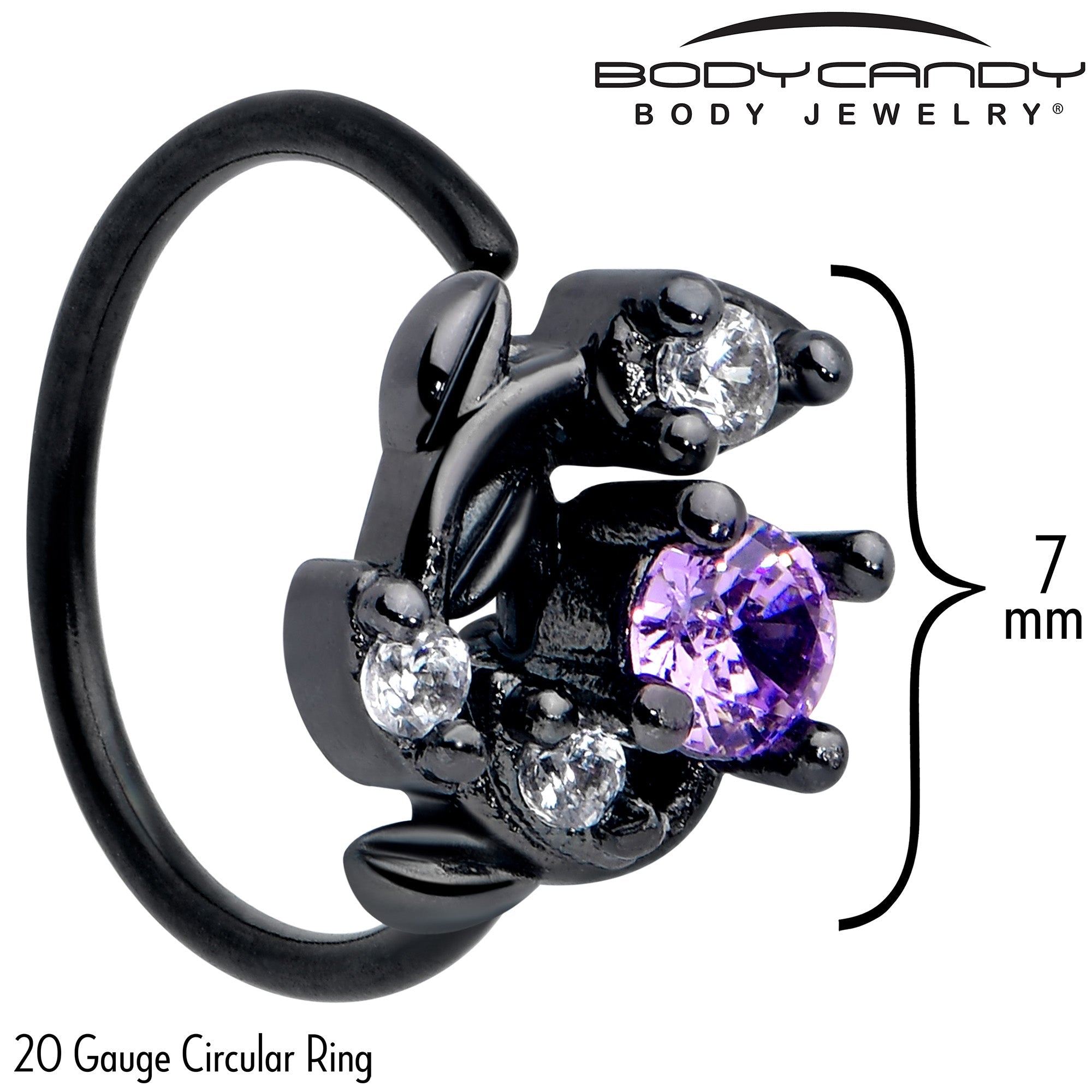 BodyCandy 20G 5/16 Purple Gem Black Twining Vine Nose Hoop — detail close-up