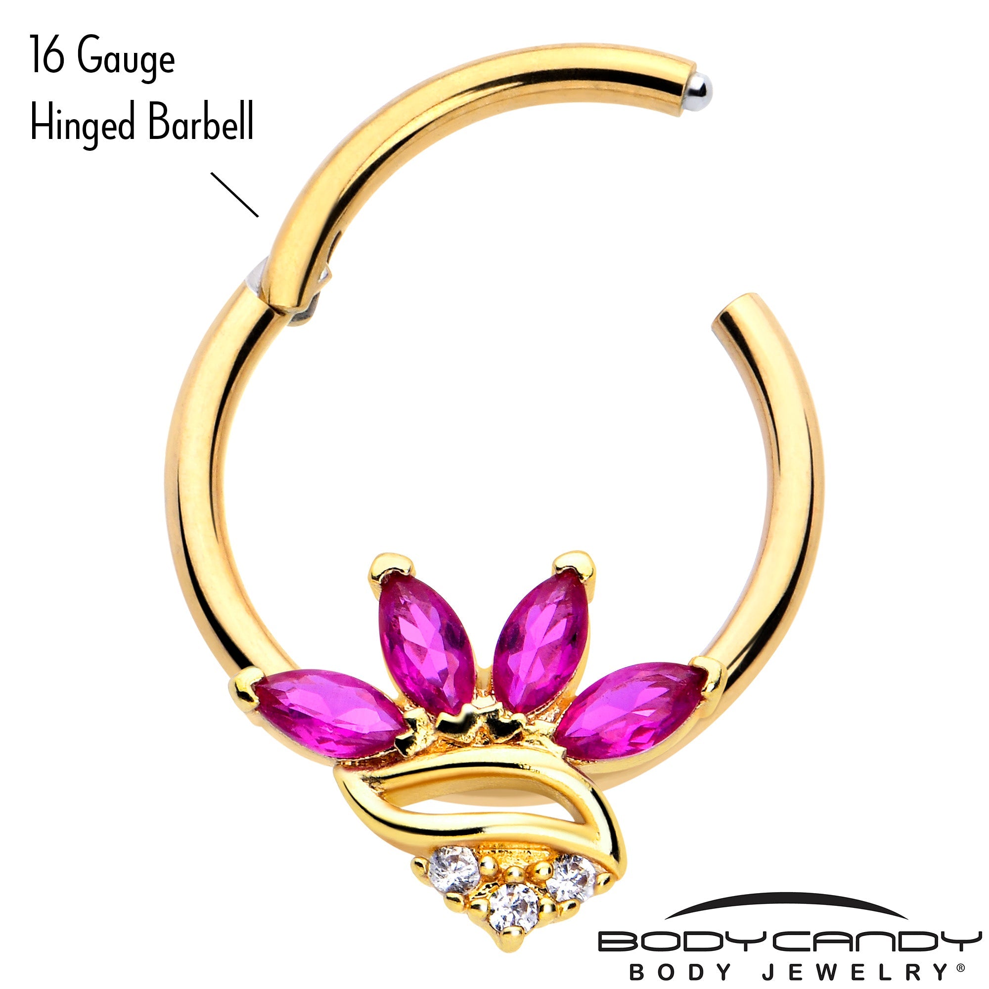 BodyCandy 16G 3/8 Red CZ Gem Gold Tone Swirl Fan Hinged Segment Ring — lifestyle context