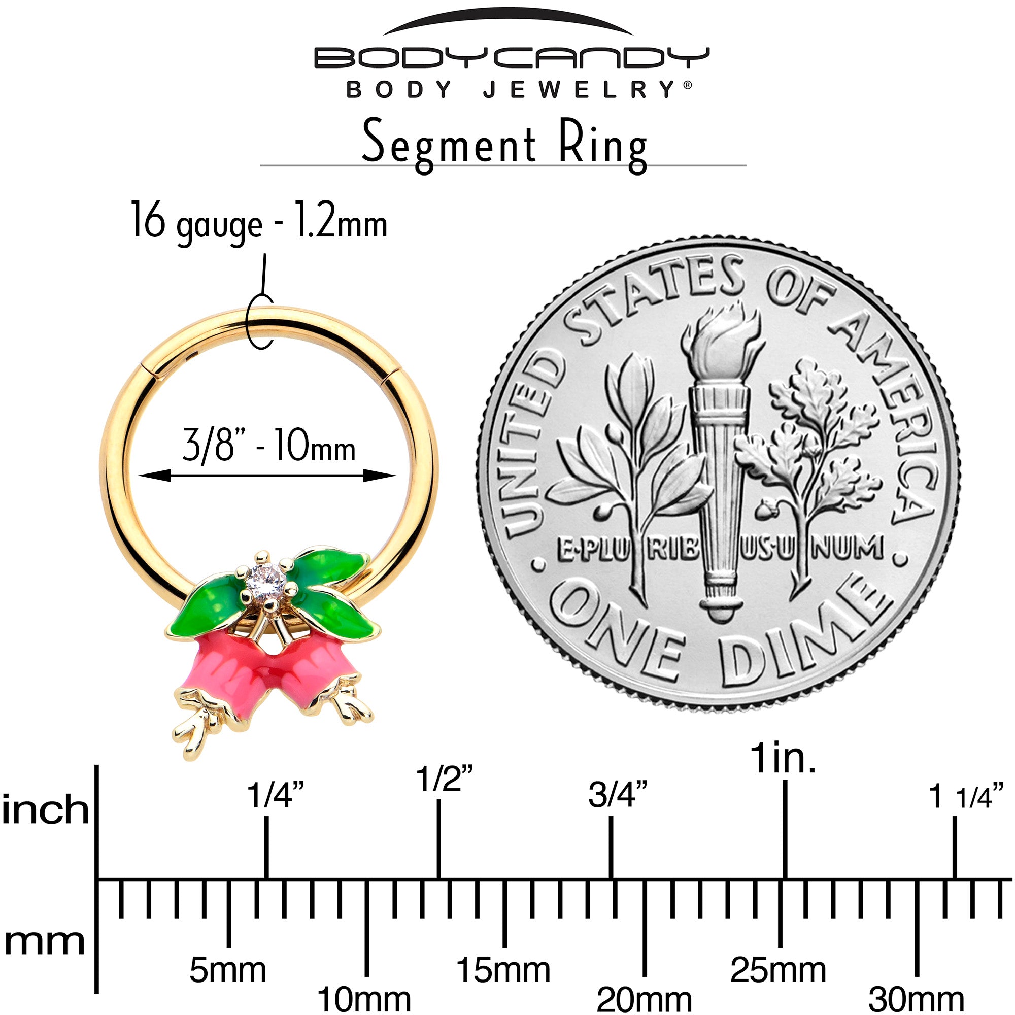 BodyCandy 16G 3/8 Clear CZ Gem Gold Tone Bell Flowers Hinged Segment Ring — side view