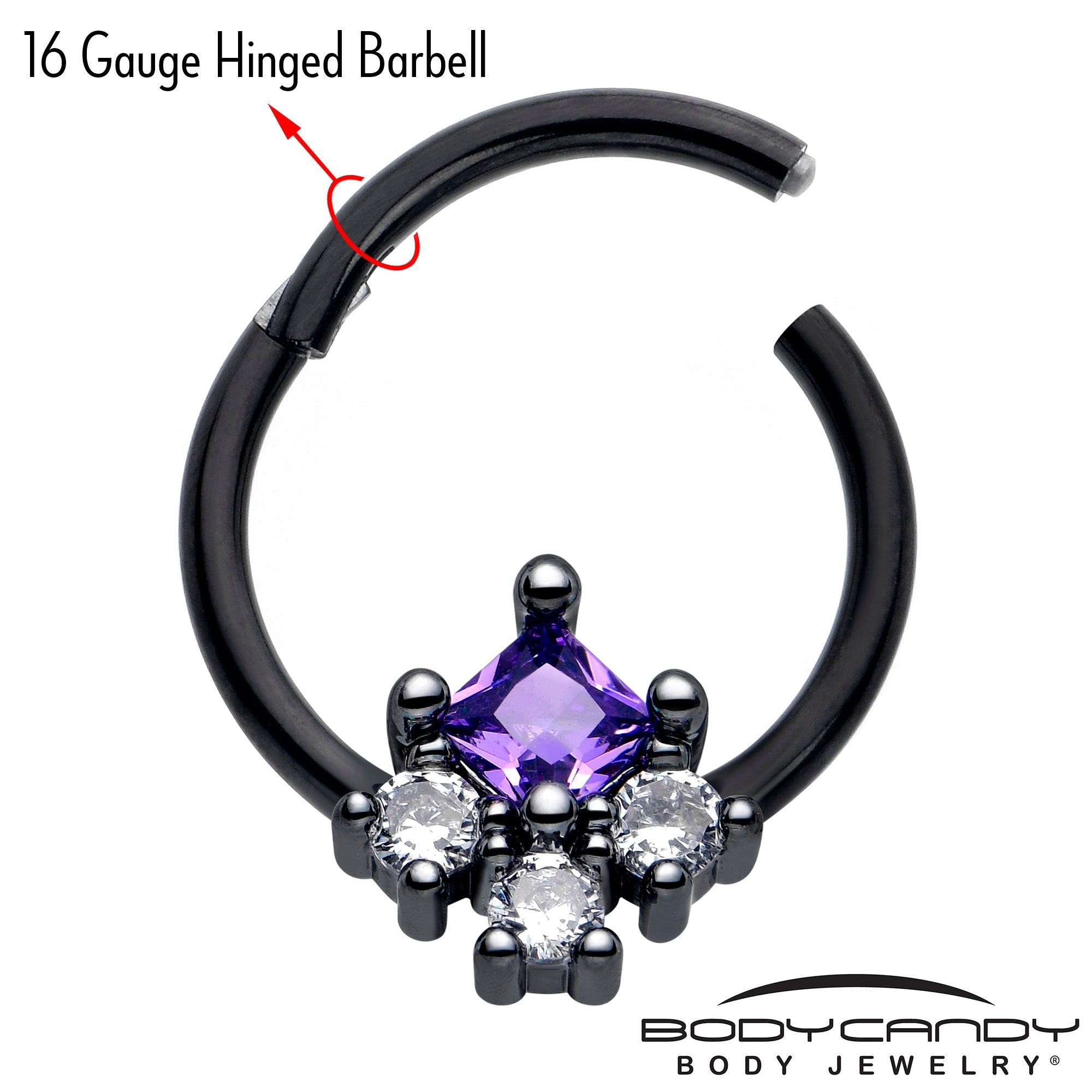 BodyCandy 16G 3/8 Purple CZ Gem Black Rhombus Riot Hinged Segment Ring — lifestyle context