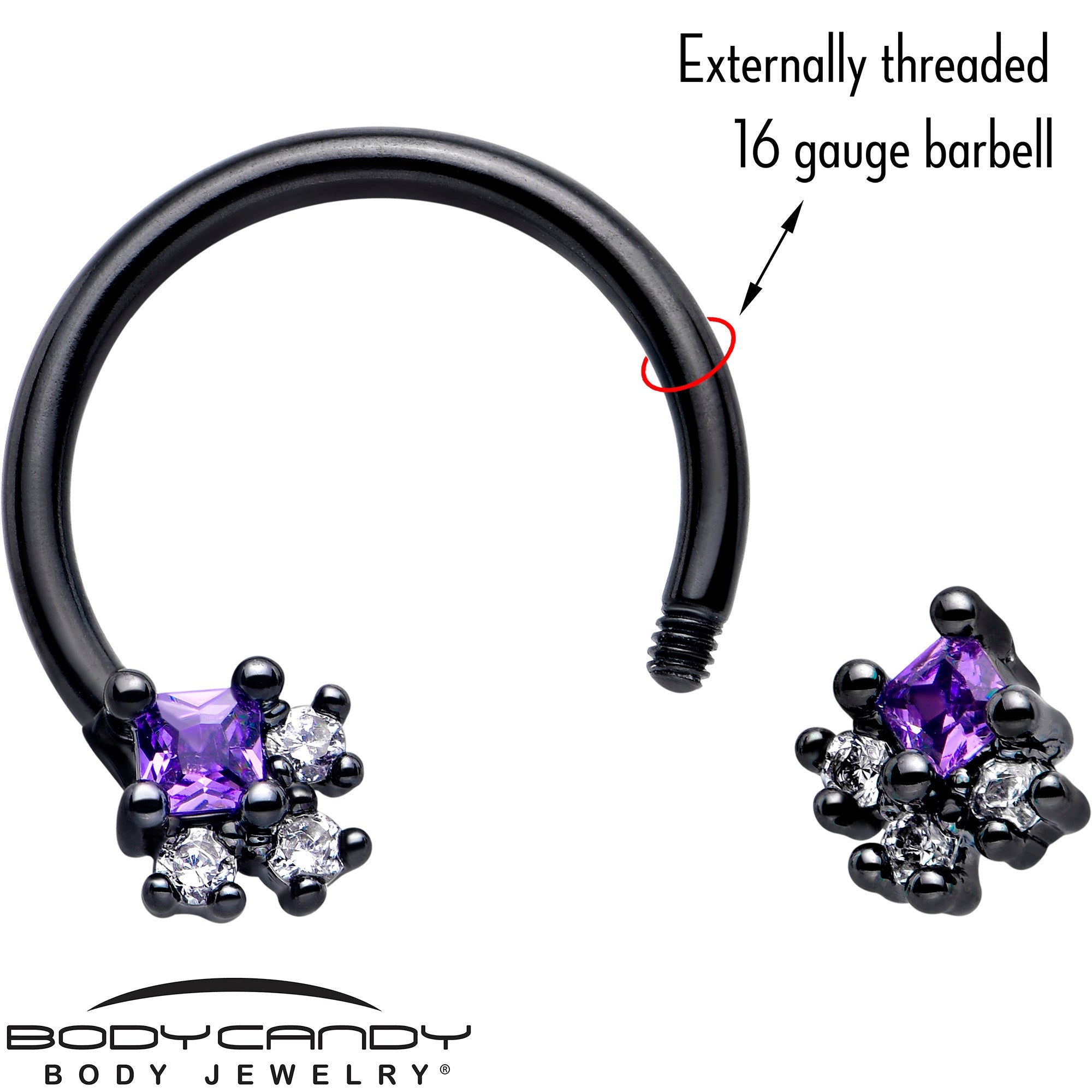 BodyCandy 16G 3/8 Purple CZ Gem Black Rhombus Riot Horseshoe Circular Barbell — lifestyle context