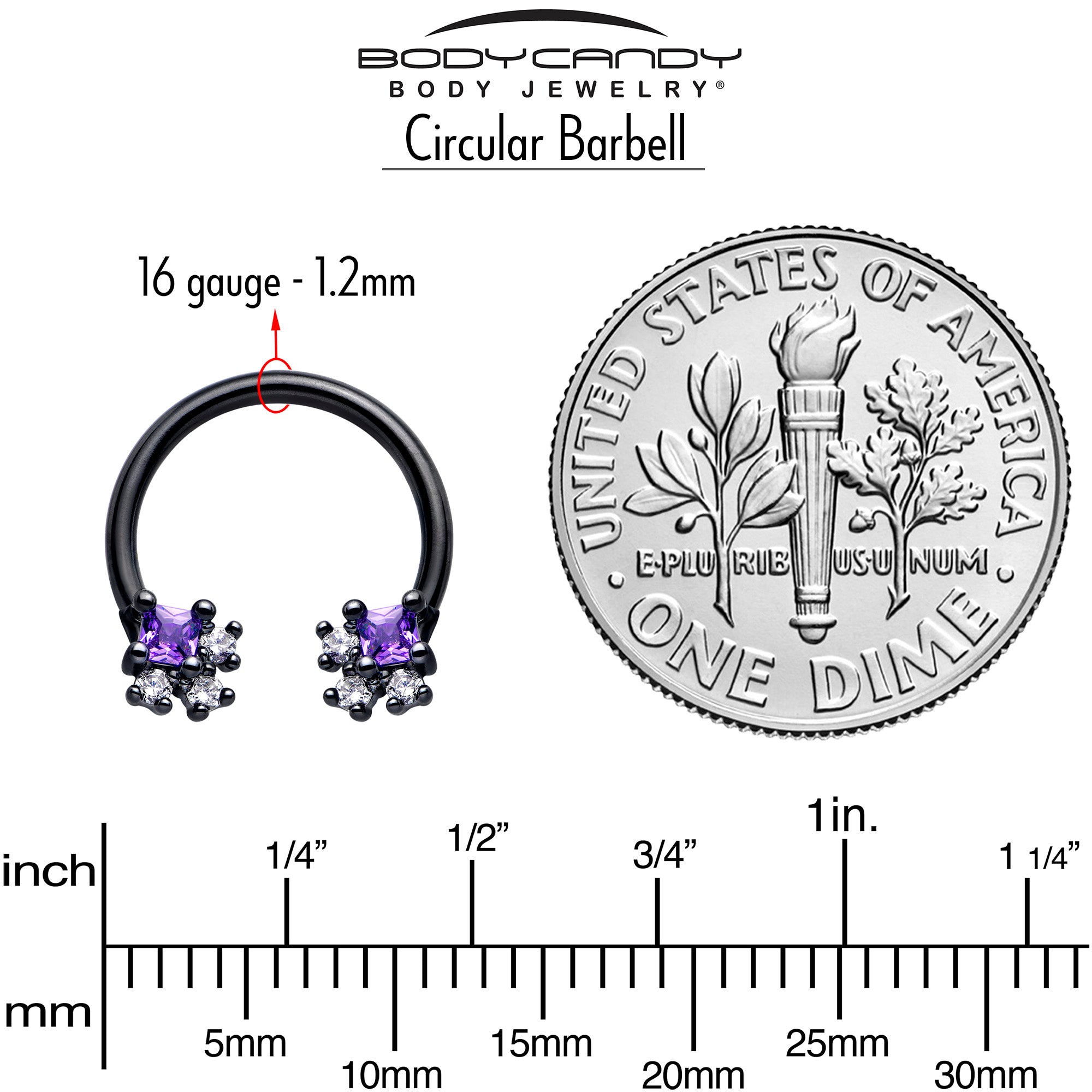 BodyCandy 16G 3/8 Purple CZ Gem Black Rhombus Riot Horseshoe Circular Barbell — side view