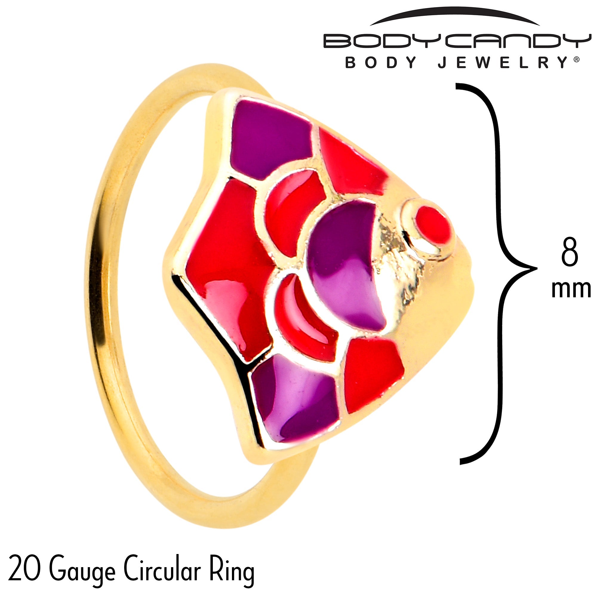 BodyCandy 20G 5/16 Gold Tone Tropical Fish Nose Hoop Set of 3 — back view