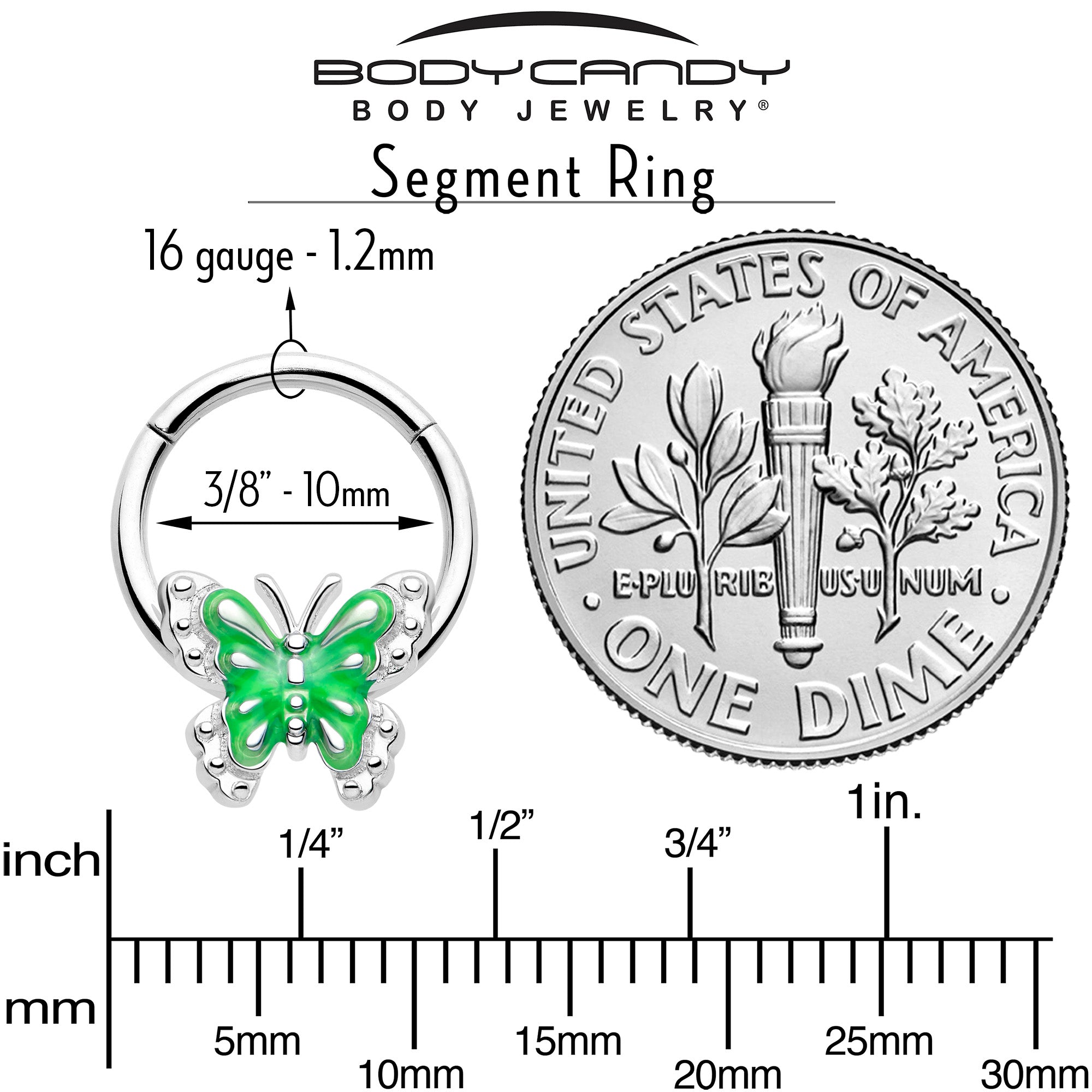 BodyCandy 16G 3/8 Butterfly Green Splash Hinged Segment Ring — side view