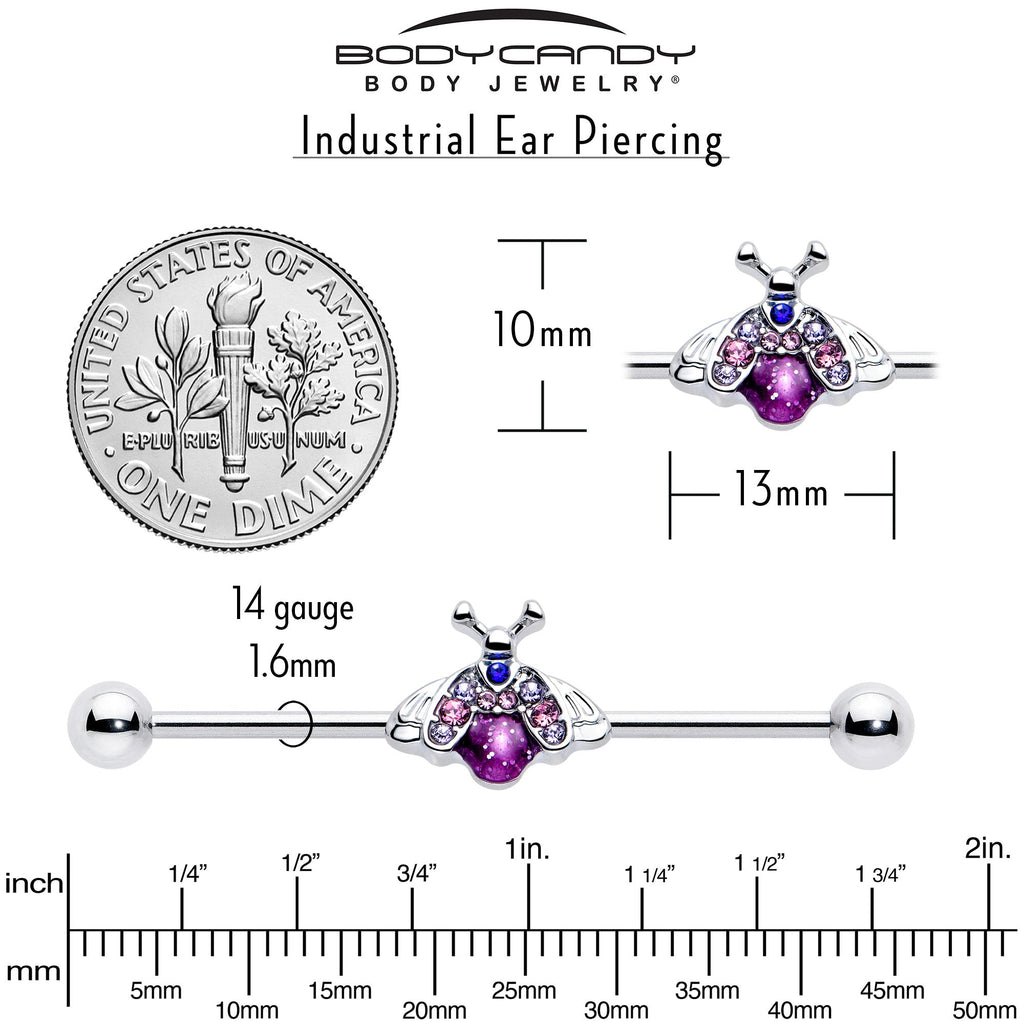 BodyCandy 14G Pink Blue Gem Beautiful Insect Industrial Barbell 38mm — back view