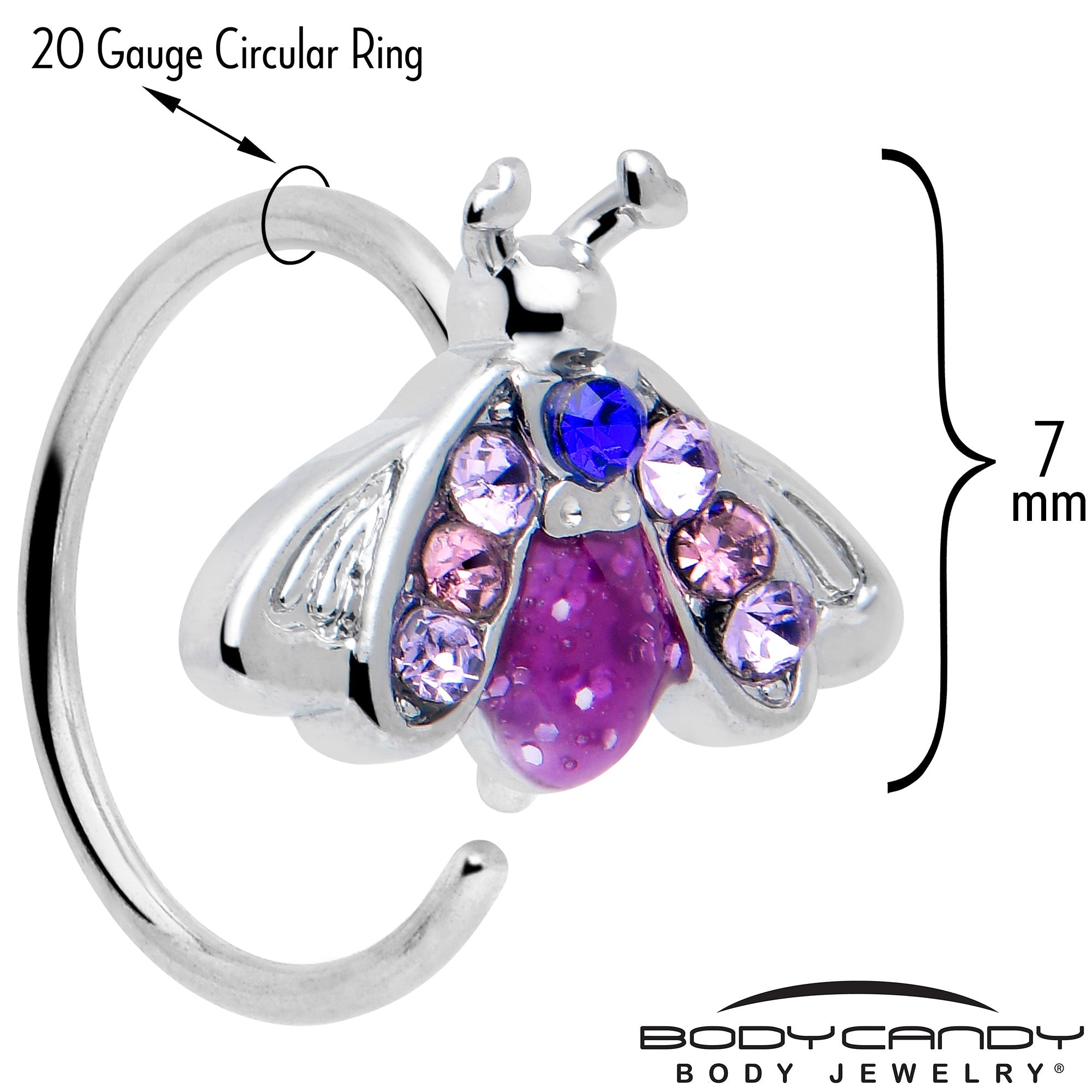 BodyCandy 20G 5/16 Pink Blue Gem Beautiful Insect Nose Hoop — detail close-up