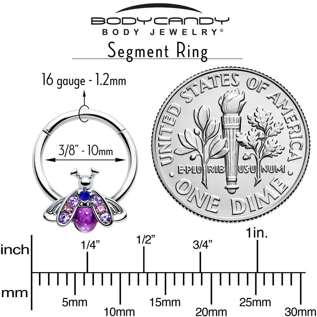BodyCandy 16G 3/8 Pink Blue Gem Beautiful Insect Hinged Segment Ring — side view