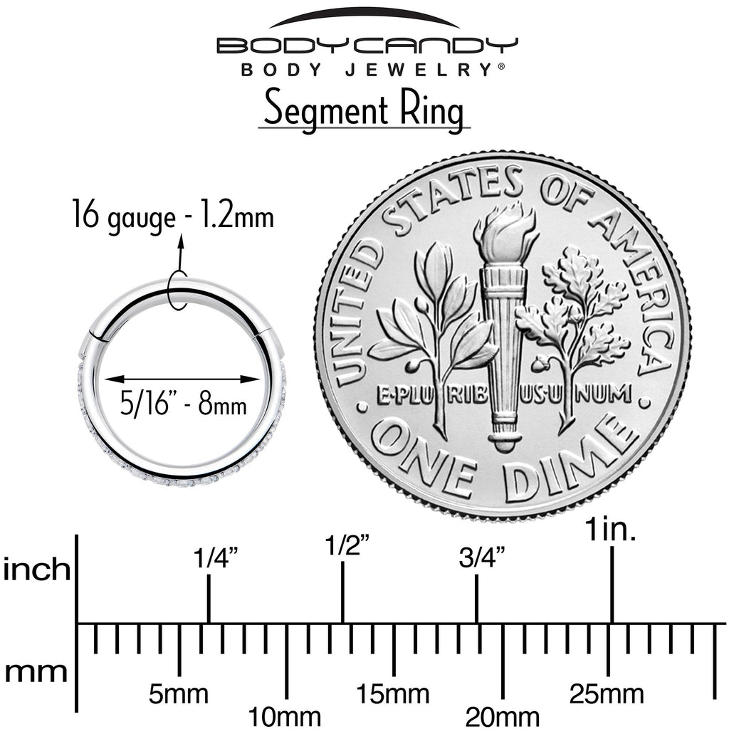 BodyCandy 16G Clear Cubic Zirconia Forward Facing Hinged Segment Ring — in-use photo