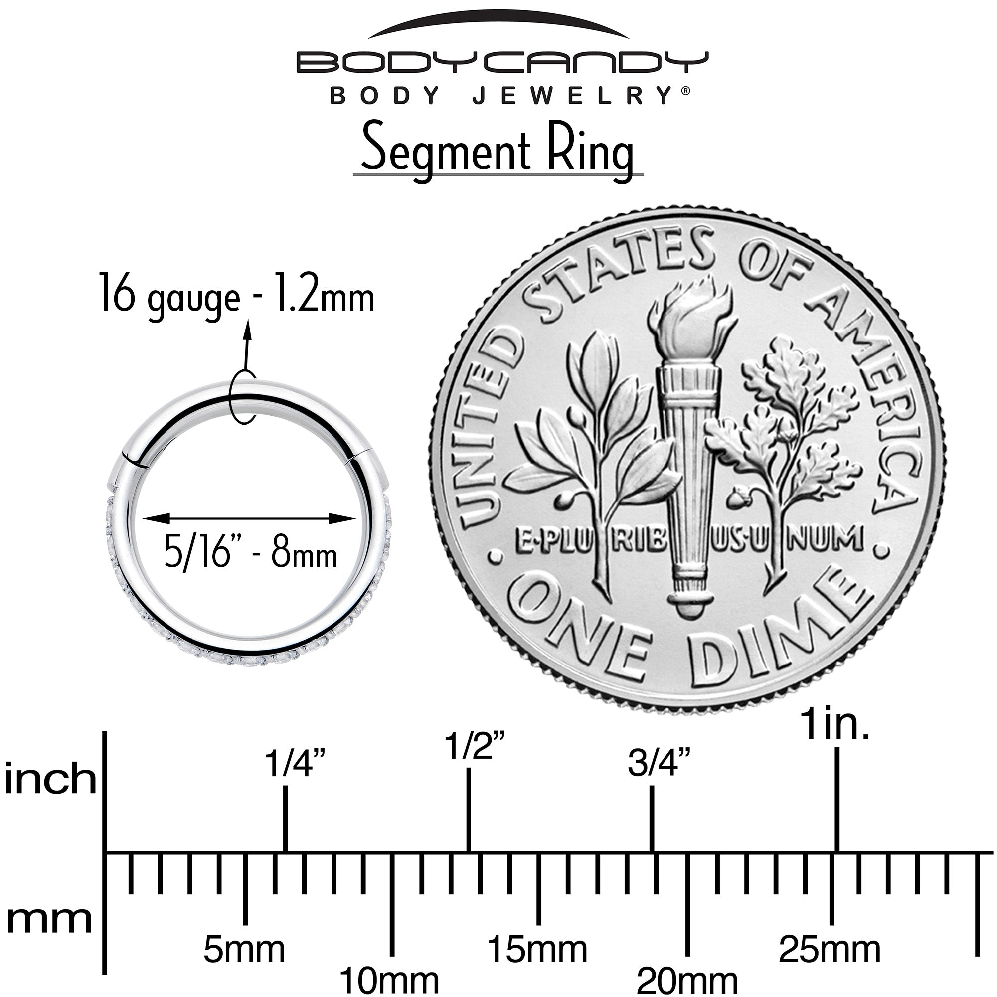 BodyCandy 16G Clear Cubic Zirconia Forward Facing Hinged Segment Ring — in-use photo