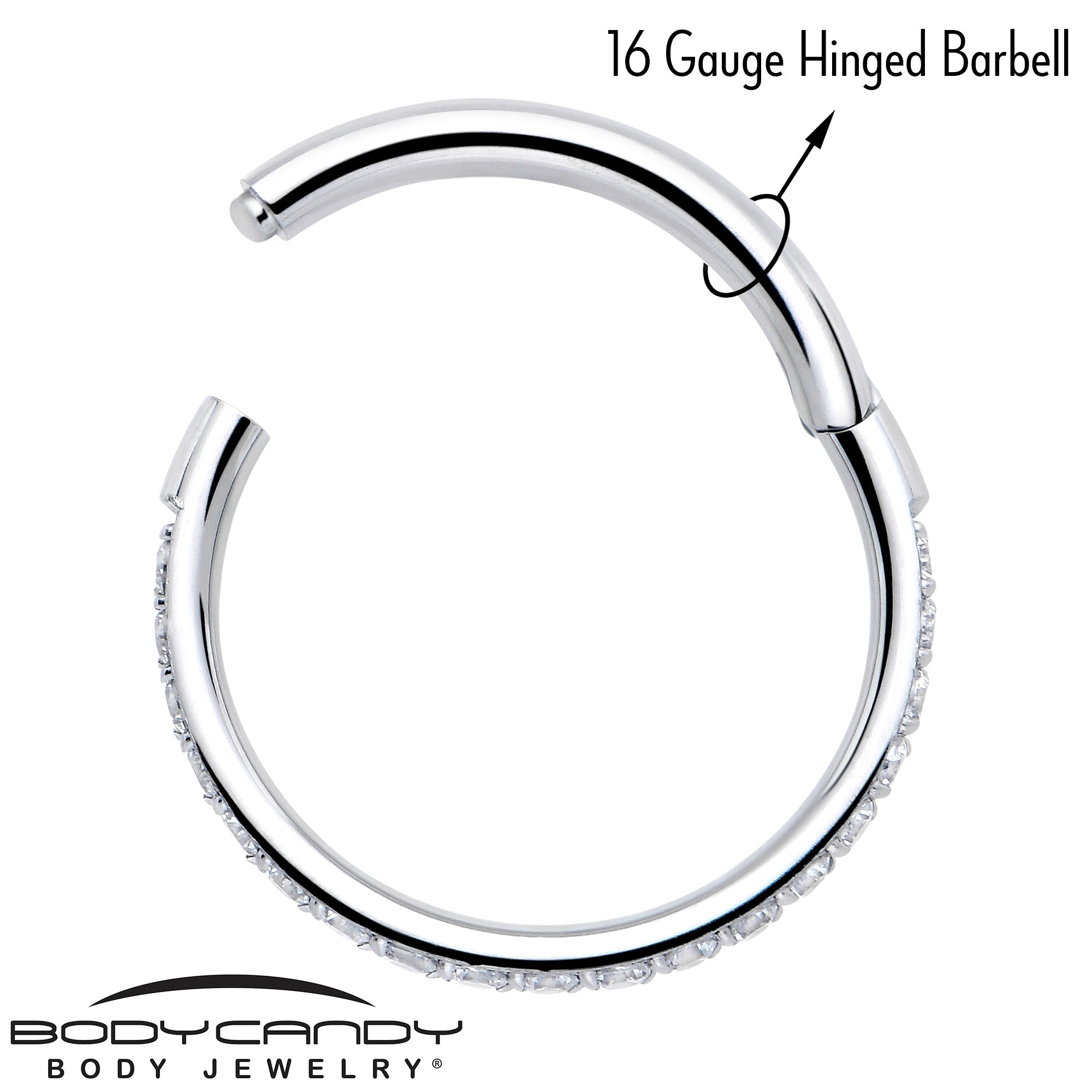 BodyCandy 16G Clear Cubic Zirconia Forward Facing Hinged Segment Ring — back view