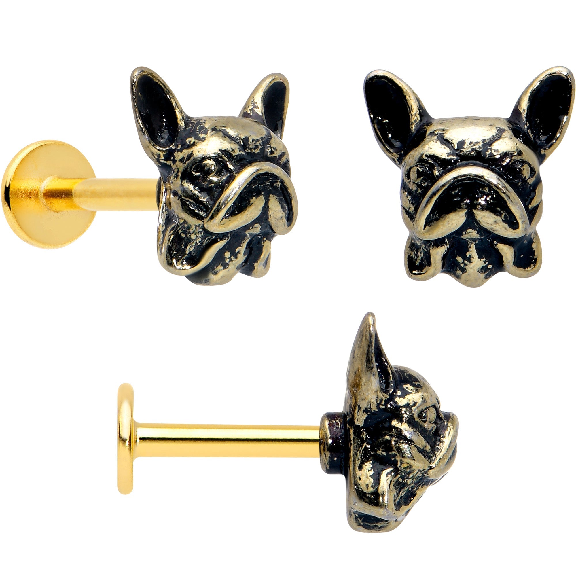 BodyCandy 16G French Bulldog Flat Back Earring Set Internally Threaded 3 Pack — lifestyle context