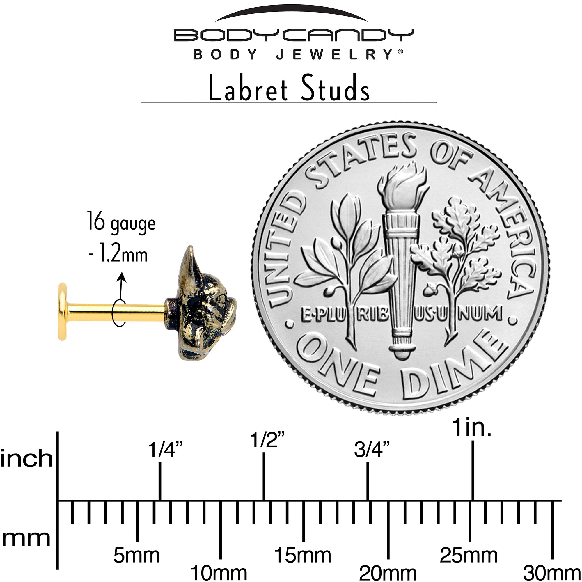 BodyCandy 16G French Bulldog Flat Back Earring Set Internally Threaded 3 Pack — alternative angle