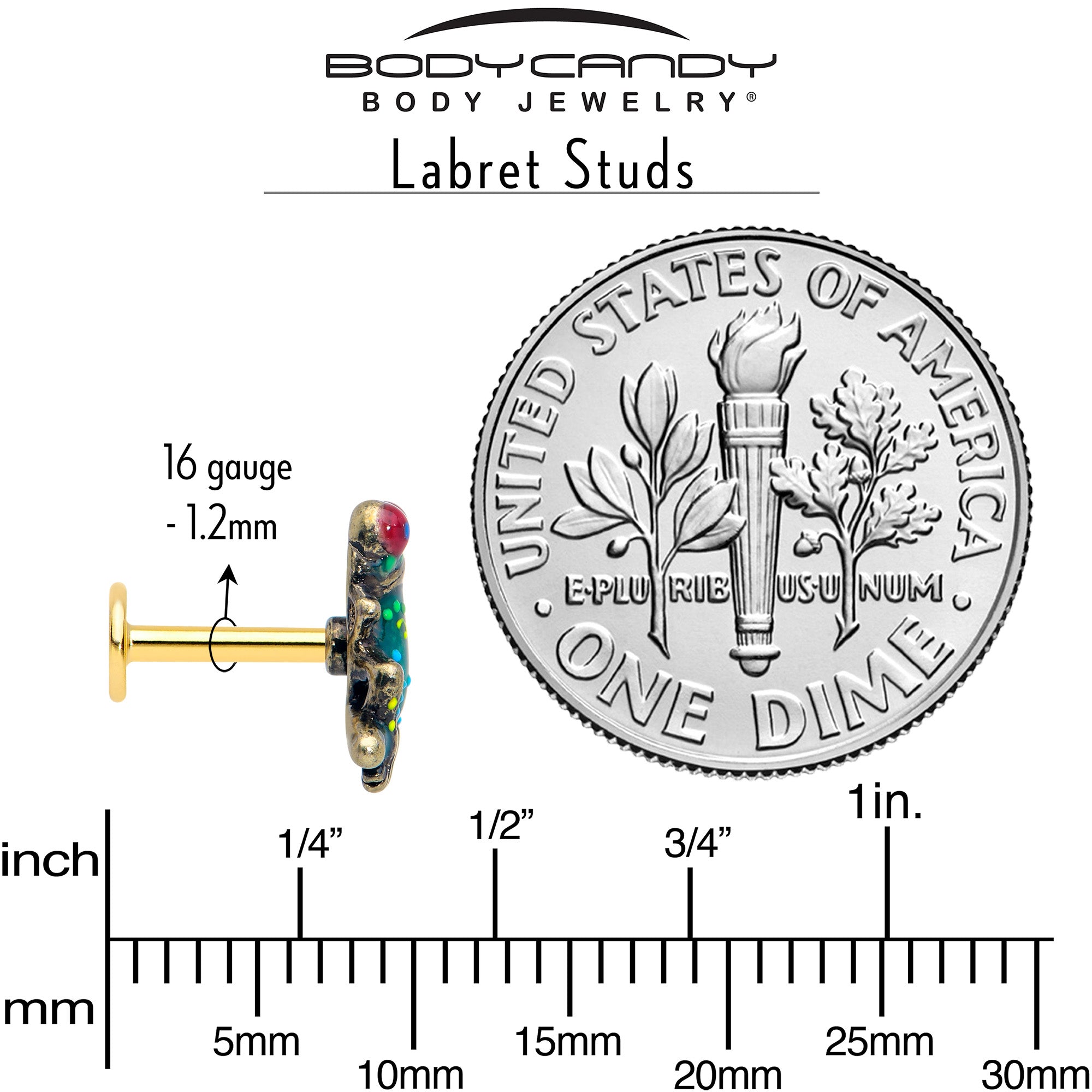 BodyCandy 16G Frog Flat Back Earring Set Internally Threaded 3 Pack — back view