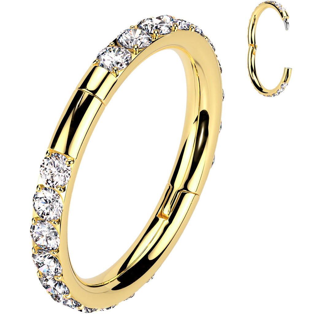 BodyCandy Implant Grade Titanium Forward CZ Double Sided Hoop Segment Ring — packaging