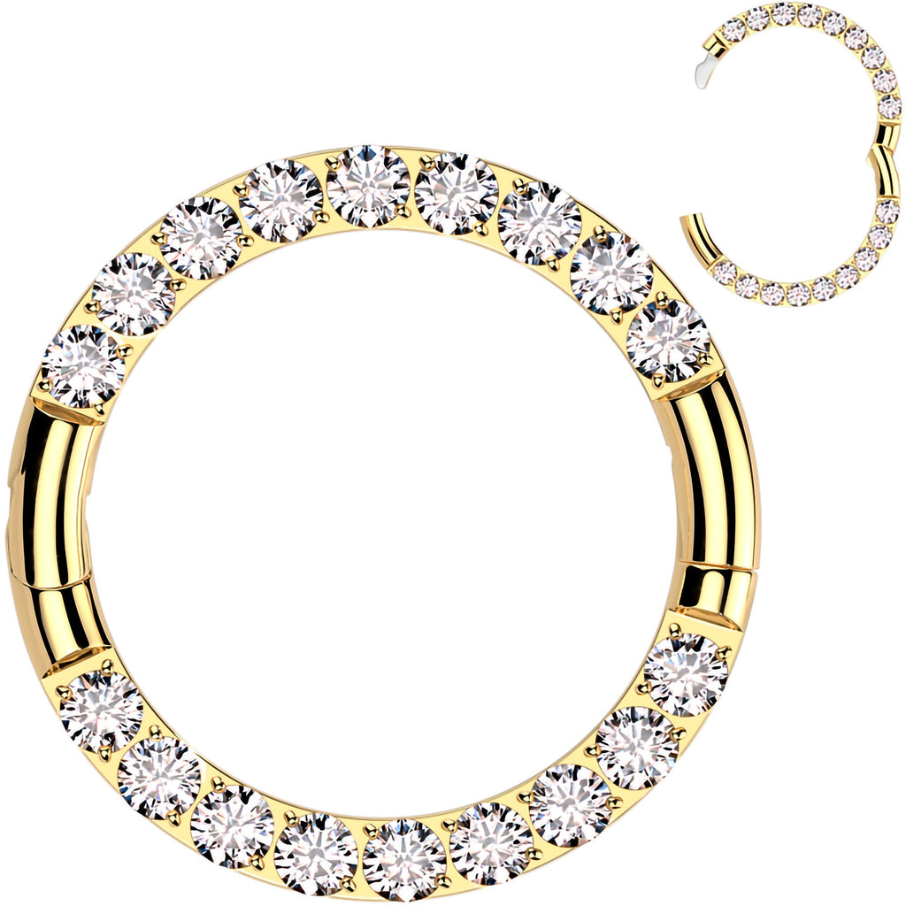 BodyCandy 16G Implant Grade Titanium CZ Double Row Hoop Segment Ring — color detail
