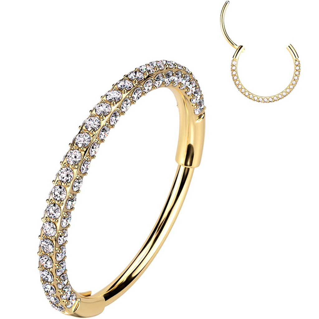 BodyCandy 20G Gold PVD Implant Grade Titanium Triple Sided Micro Gem Hinged Nose Hoop — packaging