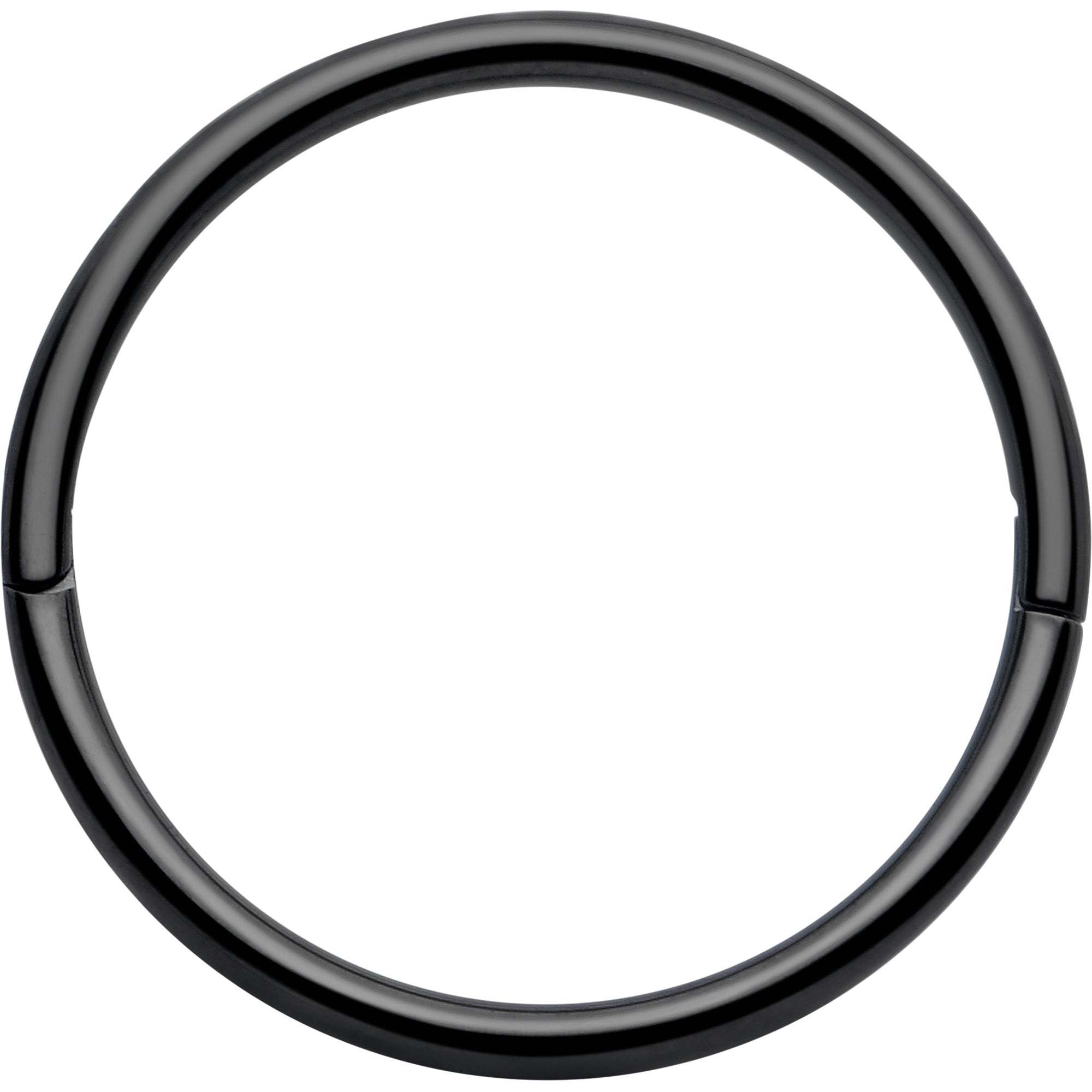 BodyCandy 20G Implant Grade Titanium Half Closure Hinged Segment Ring — back view